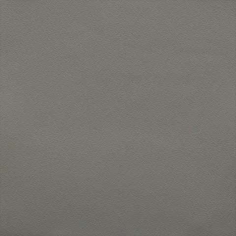 Honda/Acura/Audi Jewel Grey