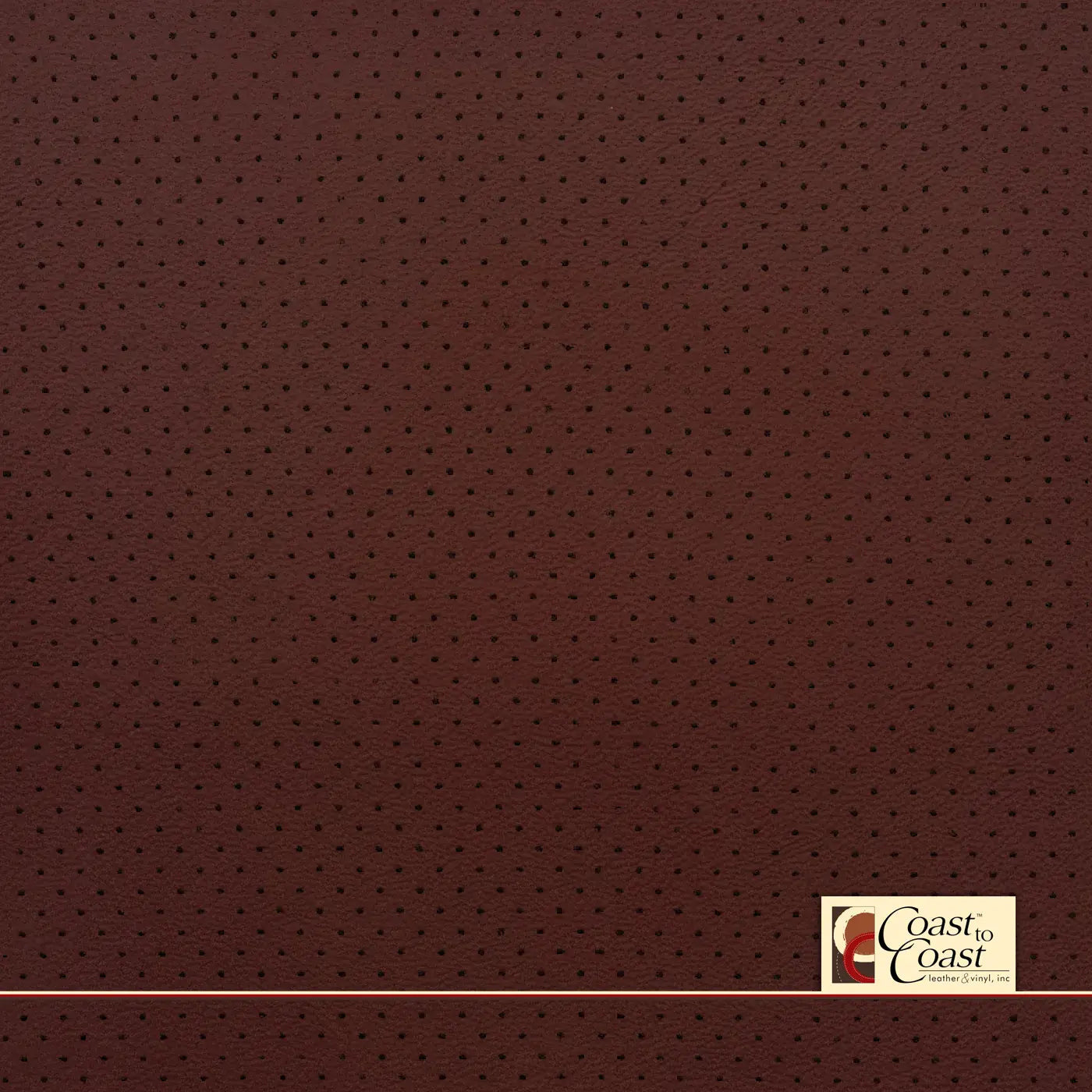 BMW Tacora Full Hide / Mini Perf (1/8In) Leather