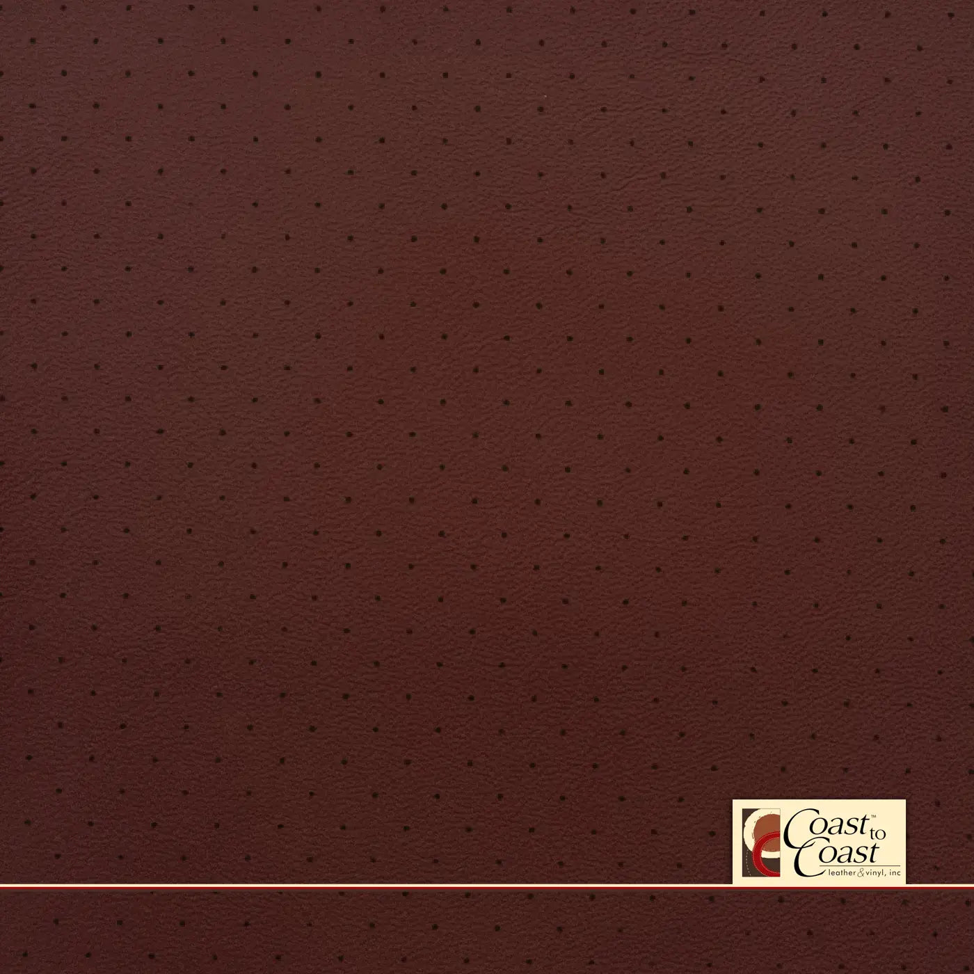 BMW Tacora Full Hide / Standard Perf (3/8In) Leather