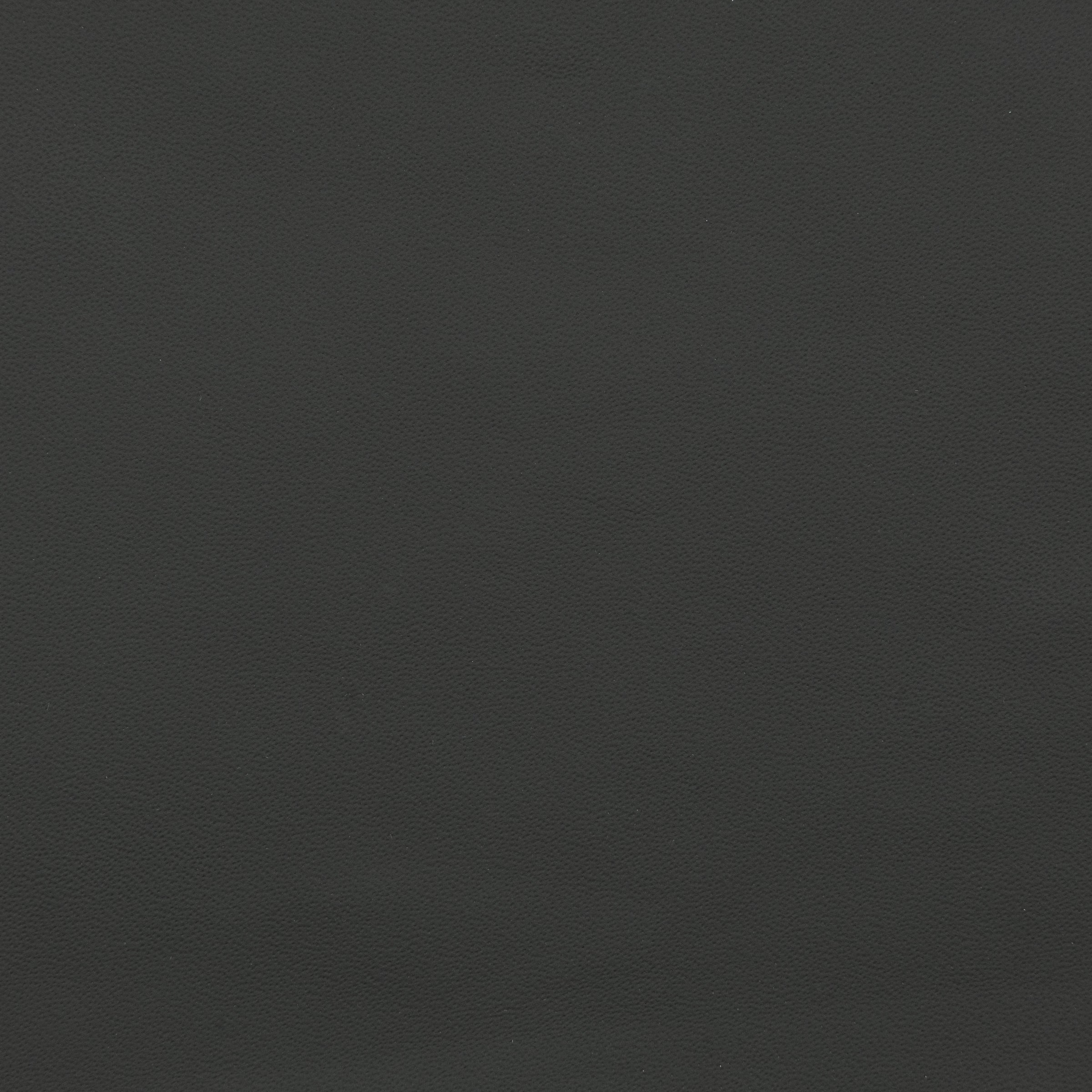 Genesis Modern Gray Fine