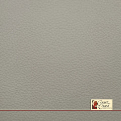 Nissan Cotton