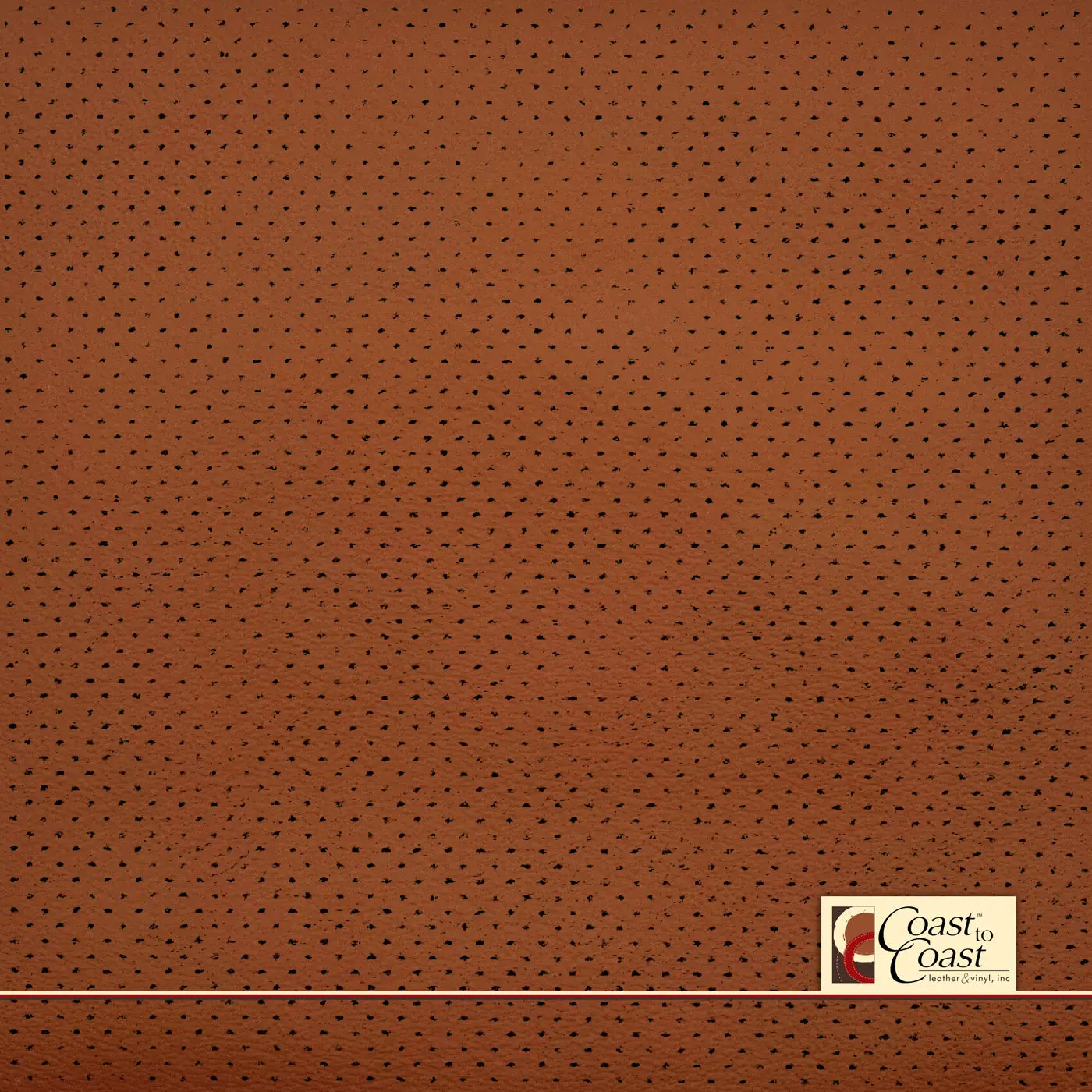 BMW Argon Brown/Tan Full Hide / Gm Mirco Perf (1/16In) Leather