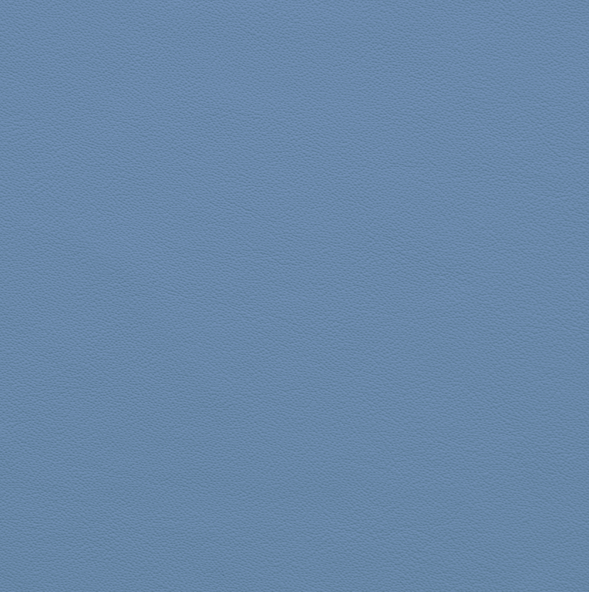 BMW Marina Blue