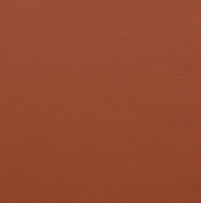 Porsche Cognac