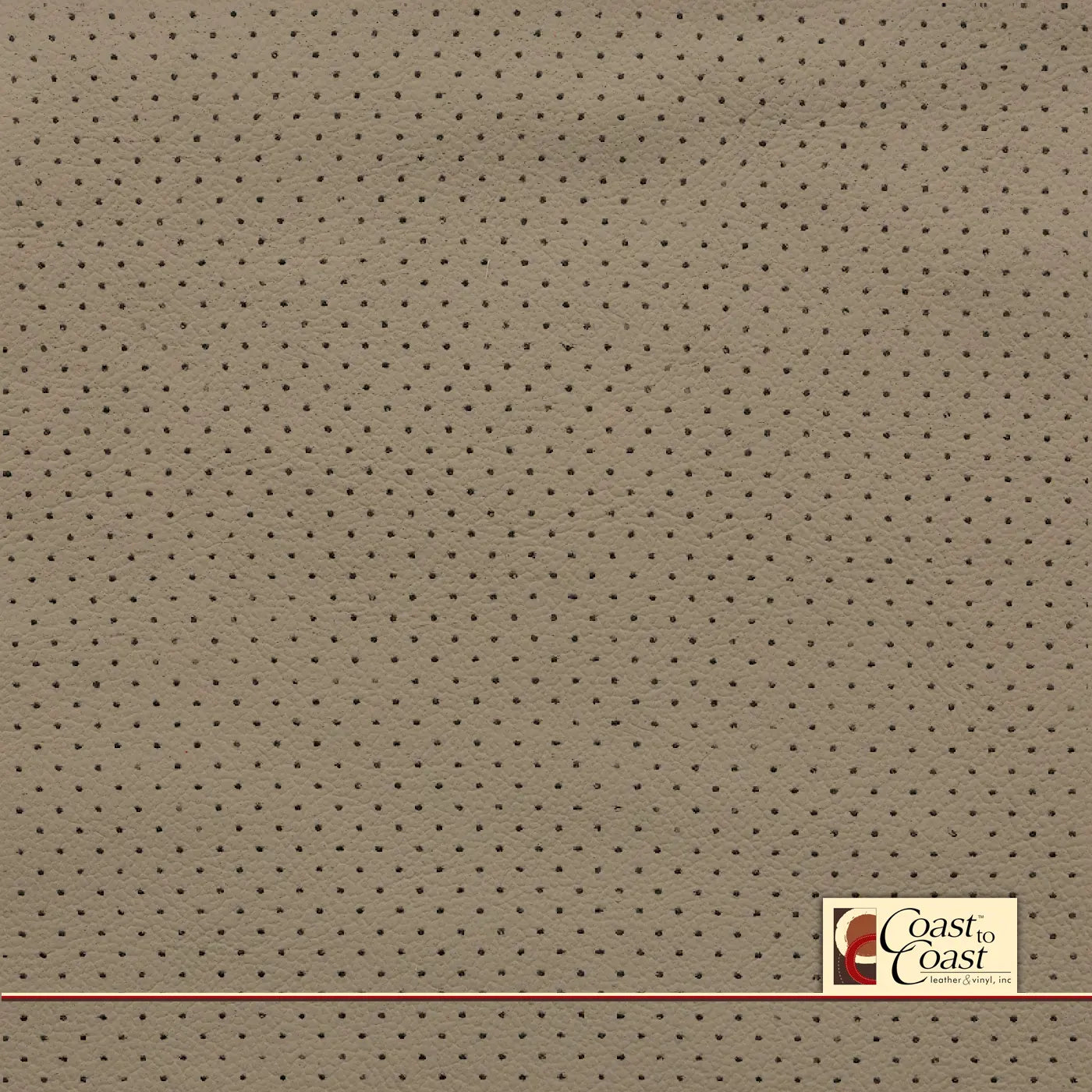 Nissan Willow Full Hide / Mini Perf (1/8In) Leather