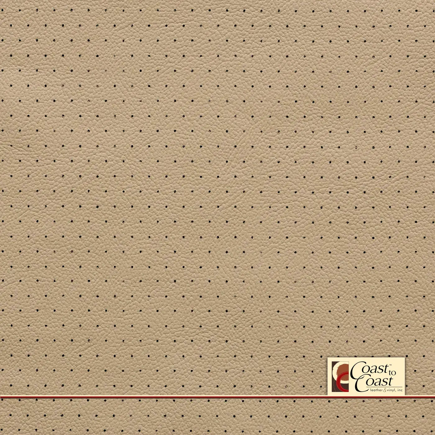 Nissan Cafe Latte Full Hide / Euro Perf (3/8In) Leather