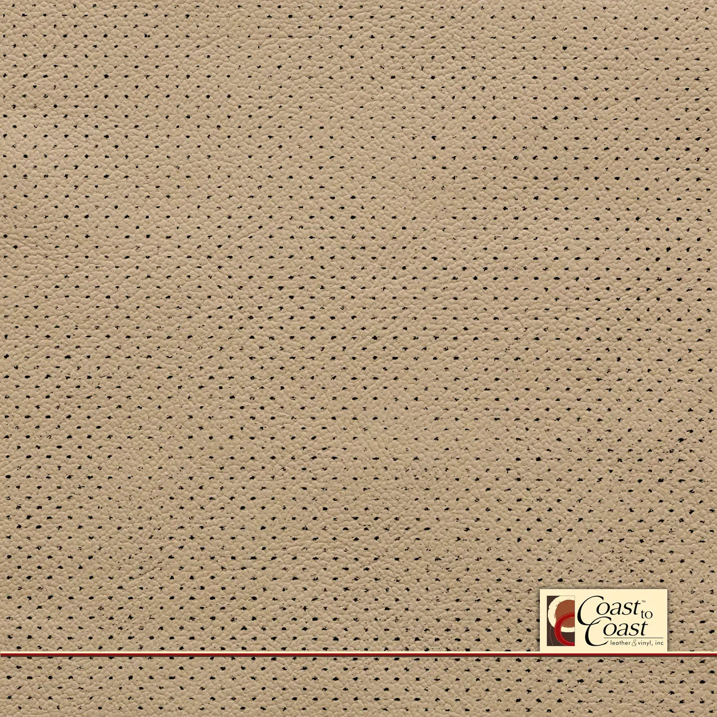 Nissan Cafe Latte Full Hide / Gm Mirco Perf (1/16In) Leather