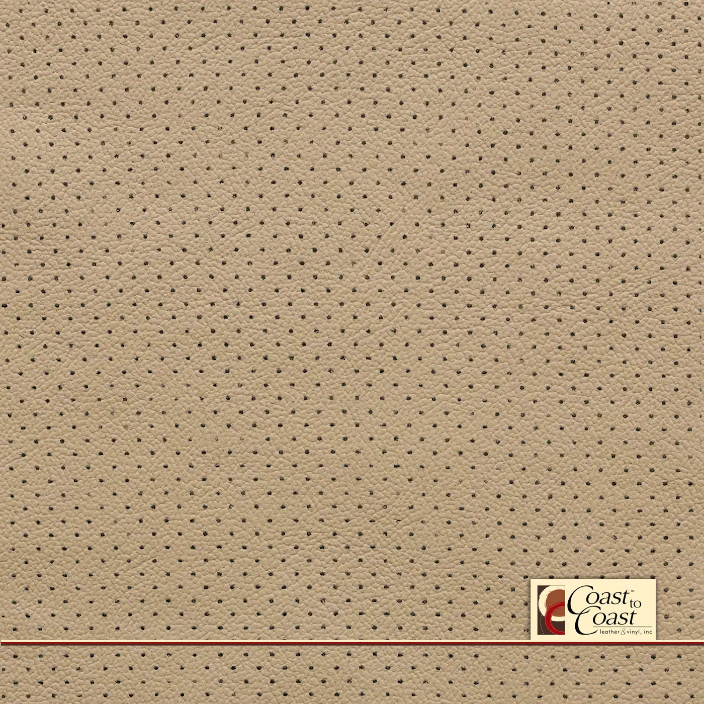 Nissan Cafe Latte Full Hide / Mini Perf (1/8In) Leather