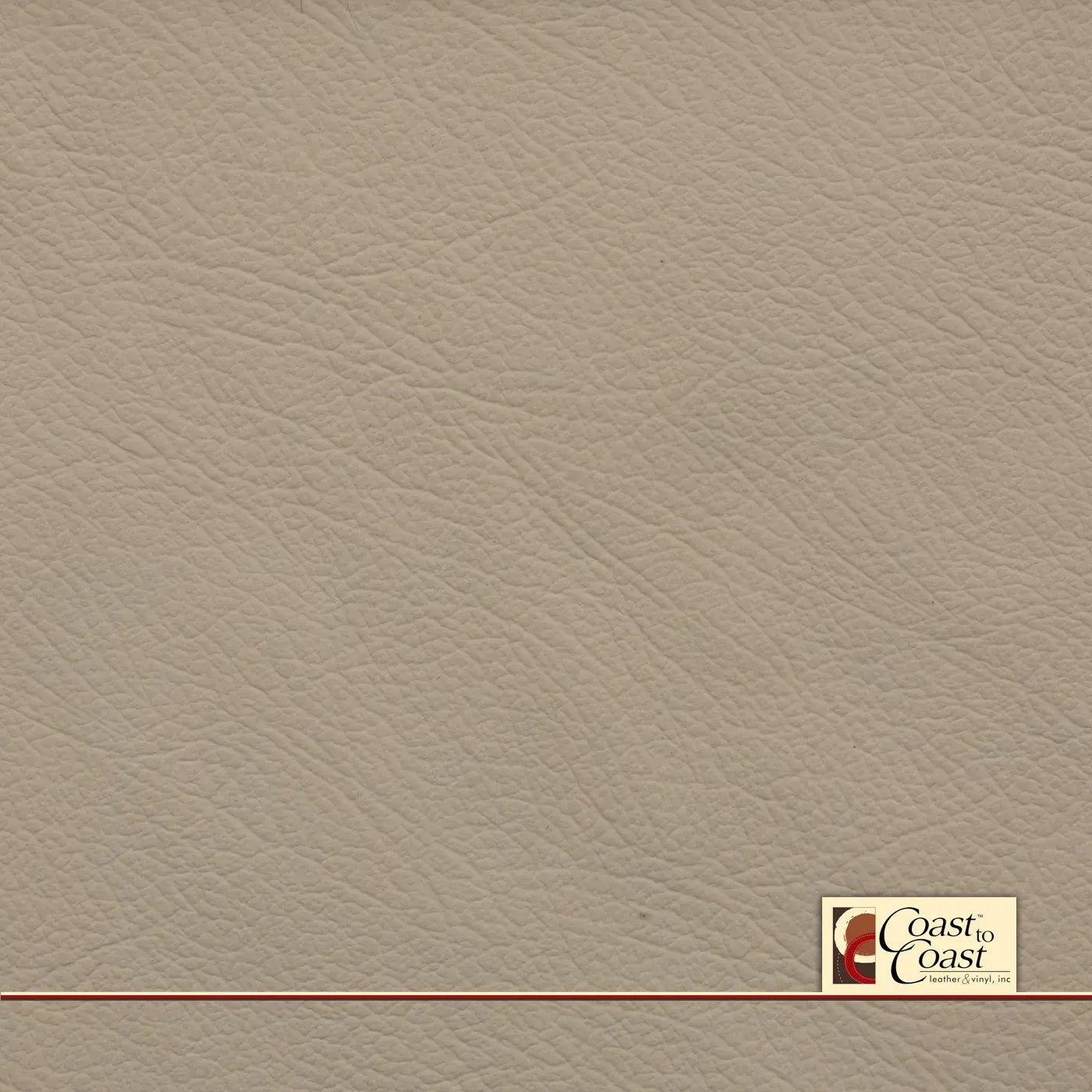 Jaguar Parchment