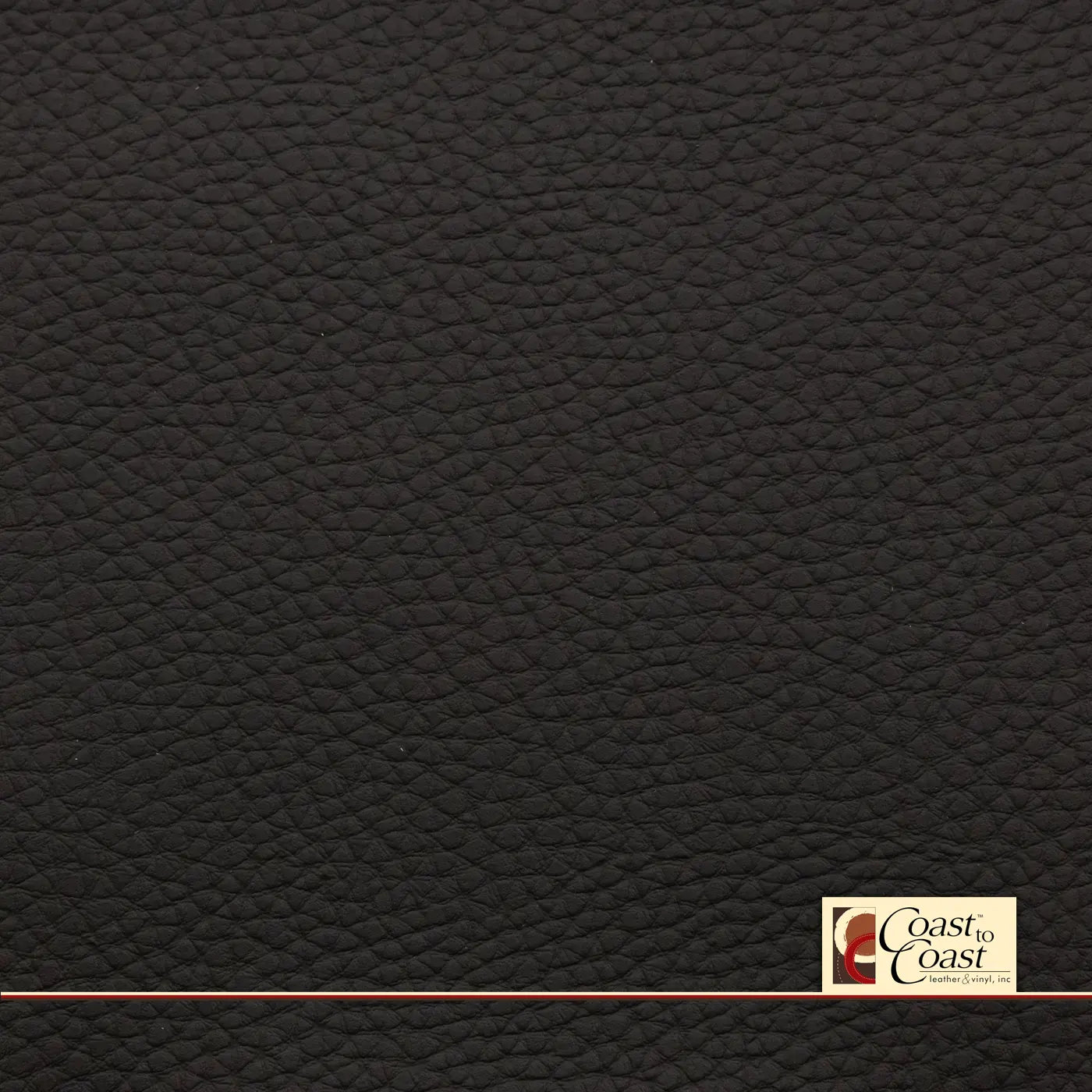 Volvo Ebony