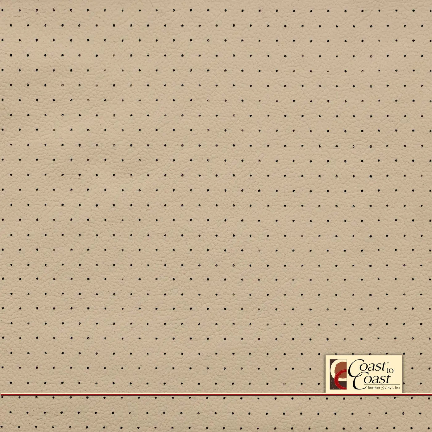 Audi Vanilla Full Hide / Euro Perf (3/8In) Leather