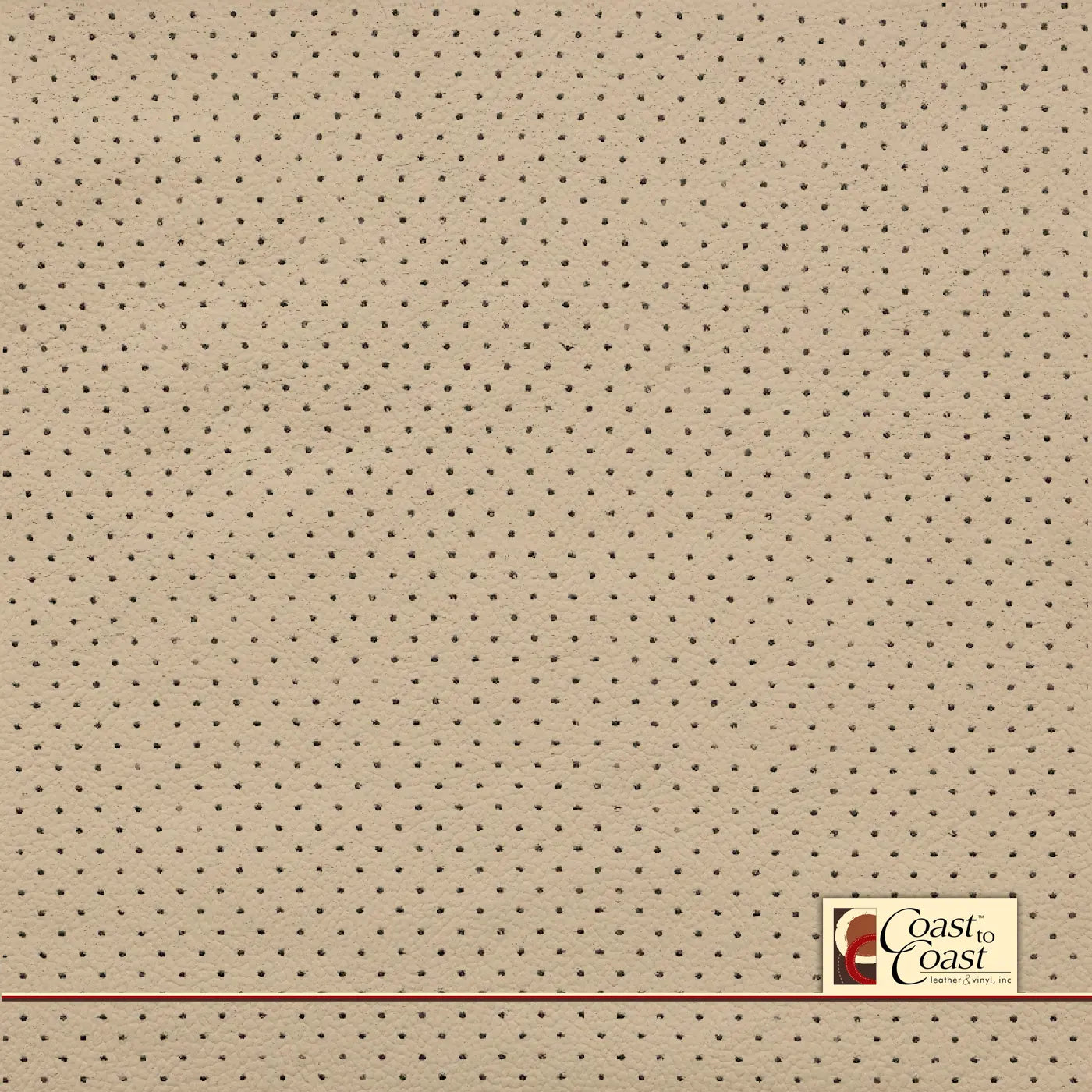 Audi Vanilla Full Hide / Mini Perf (1/8In) Leather