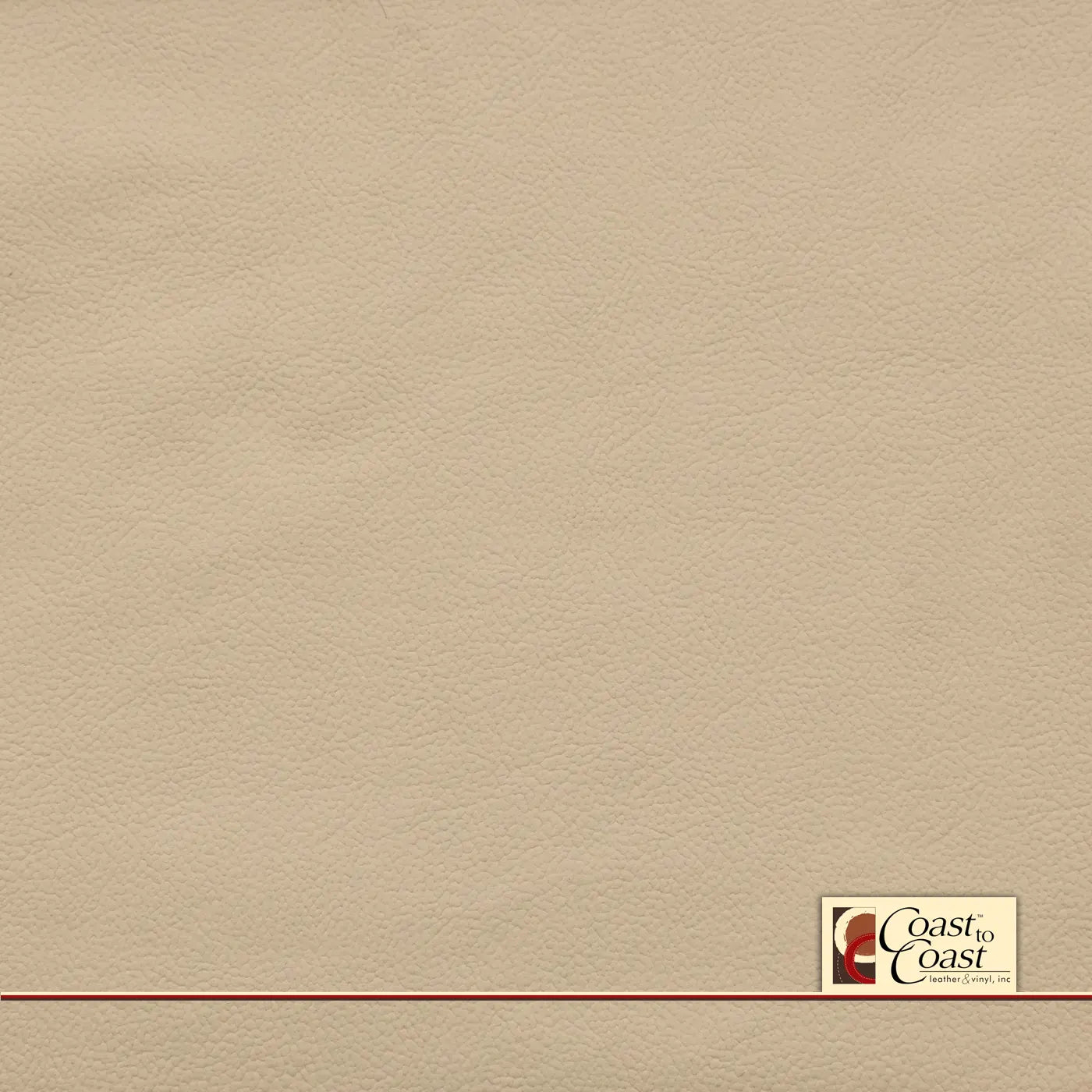 Audi Vanilla Full Hide / Plain Leather