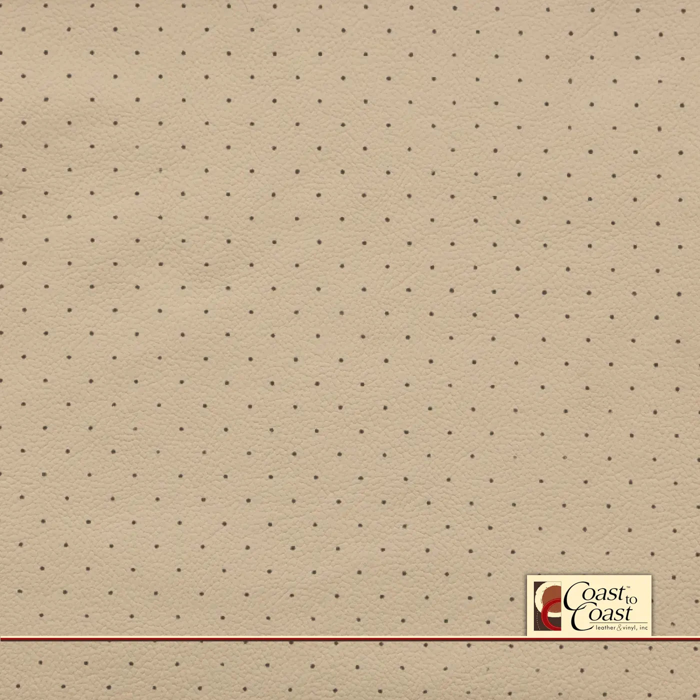 Audi Vanilla Full Hide / Standard Perf (3/8In) Leather