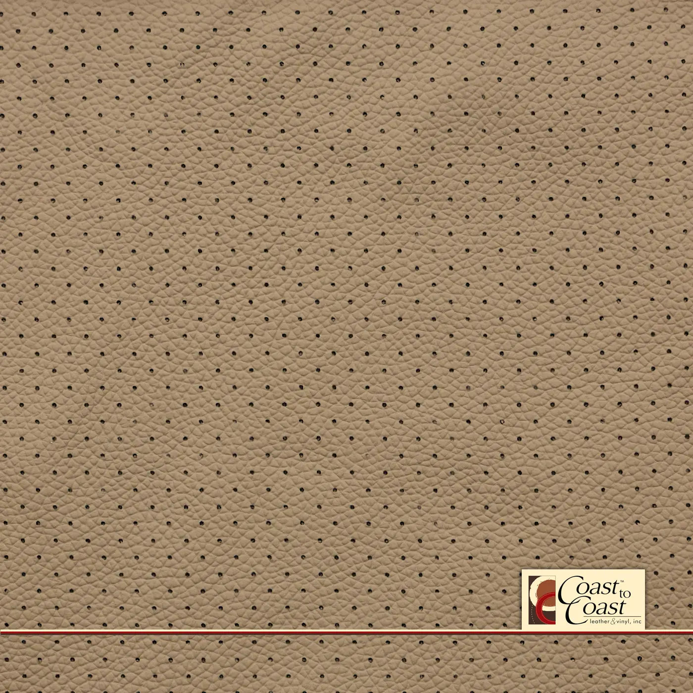 Honda Lt Ivory Full Hide / Small Hampton (1/4In) Leather