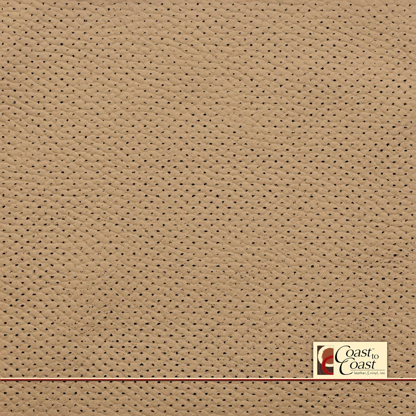 Bmw Venetian Full Hide / Gm Mirco Perf (1/16In) Leather