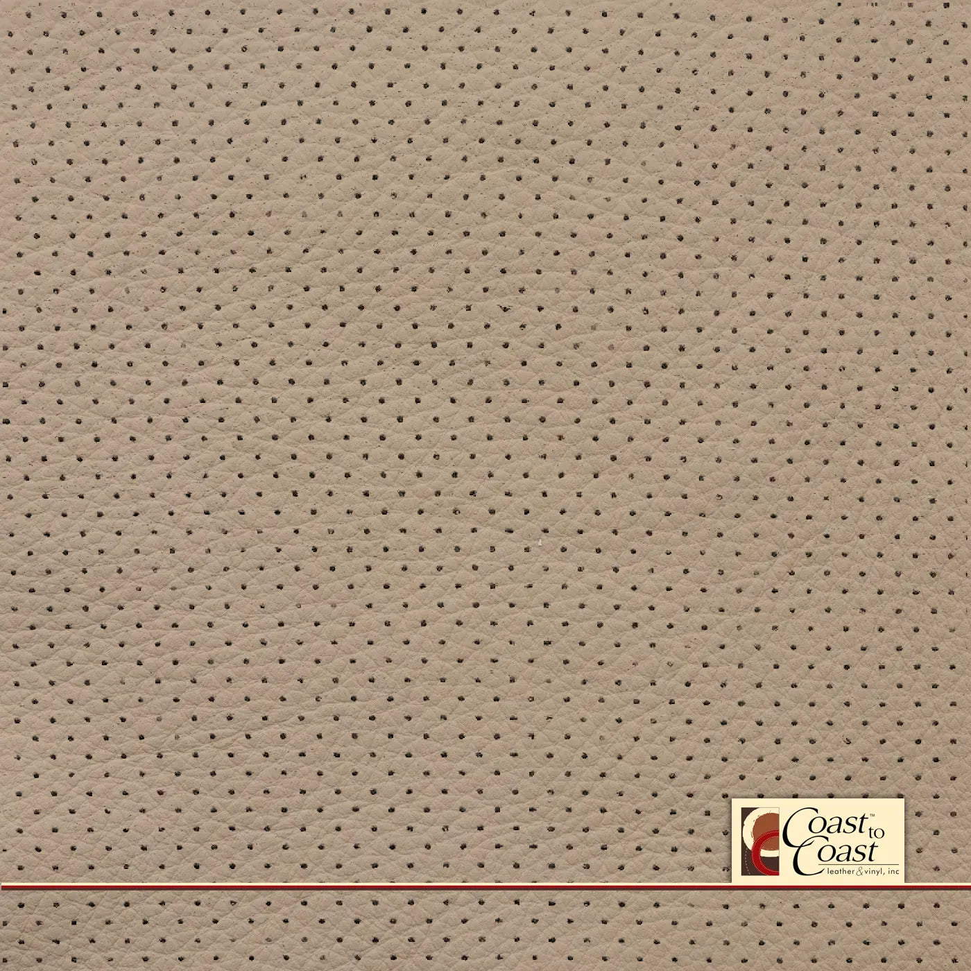 Bmw Cream Beige Full Hide / Mini Perf (1/8In) Leather