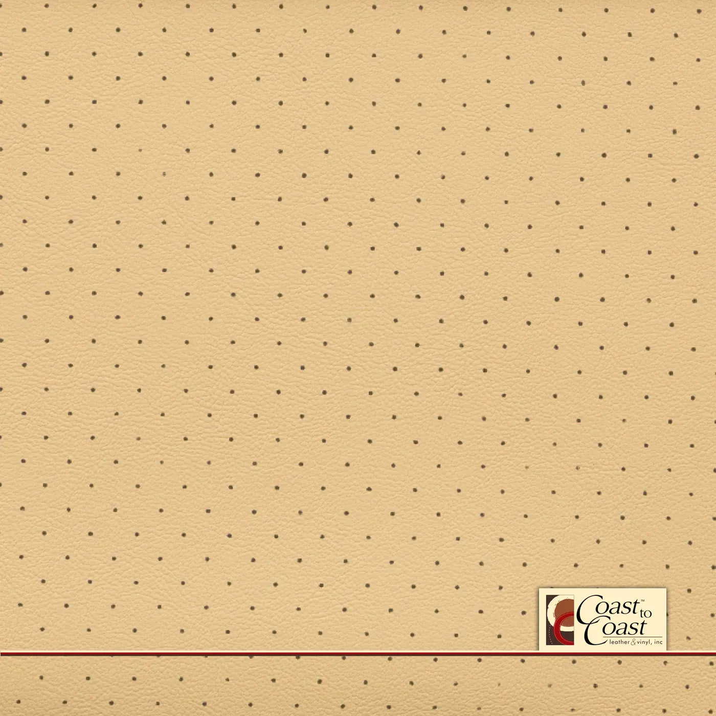 Bmw Champaige/Magnolia Full Hide / Standard Perf (3/8In) Leather