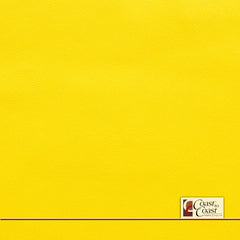 GM Corvette Yellow