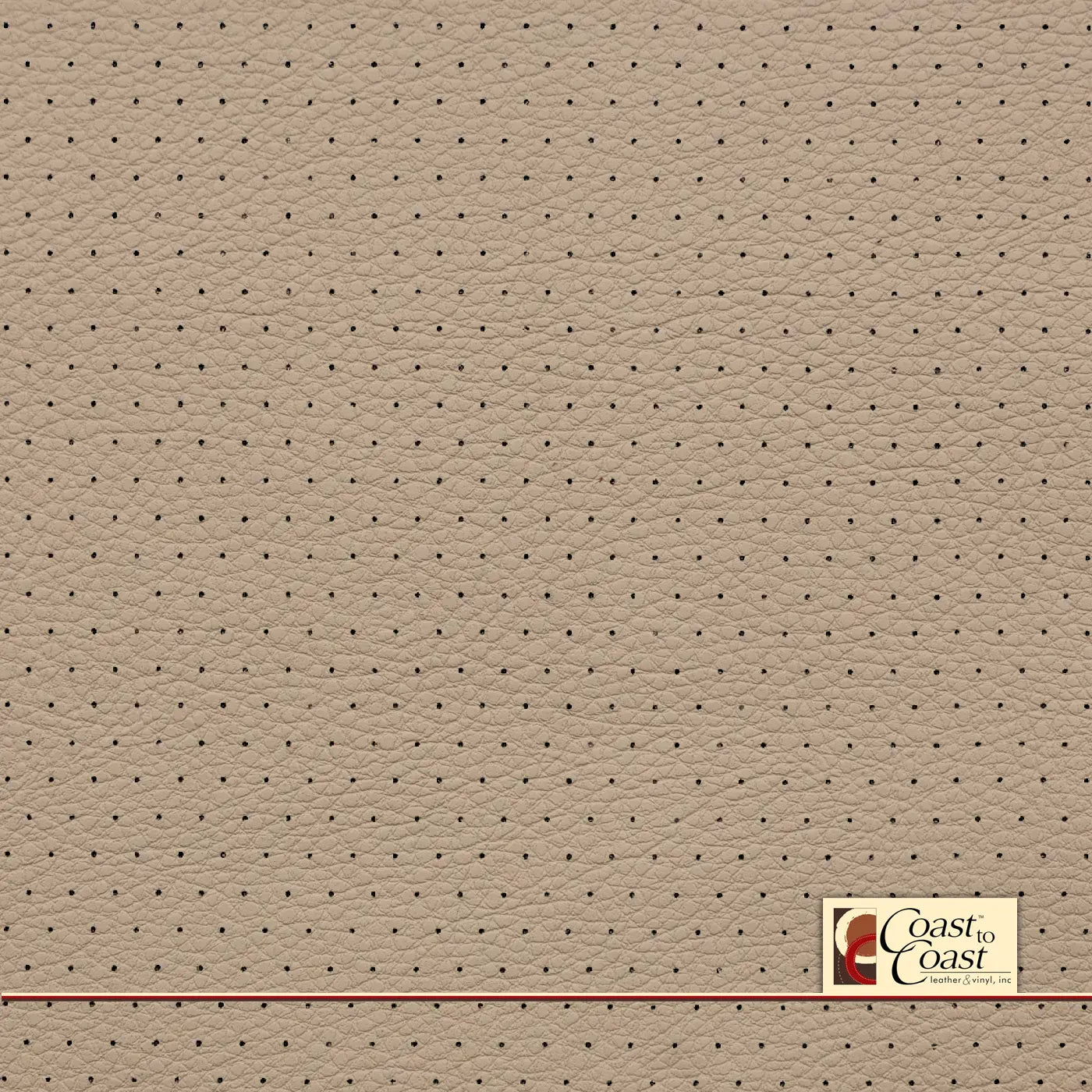 Vw Cornsilk Full Hide / Euro Perf (3/8In) Leather