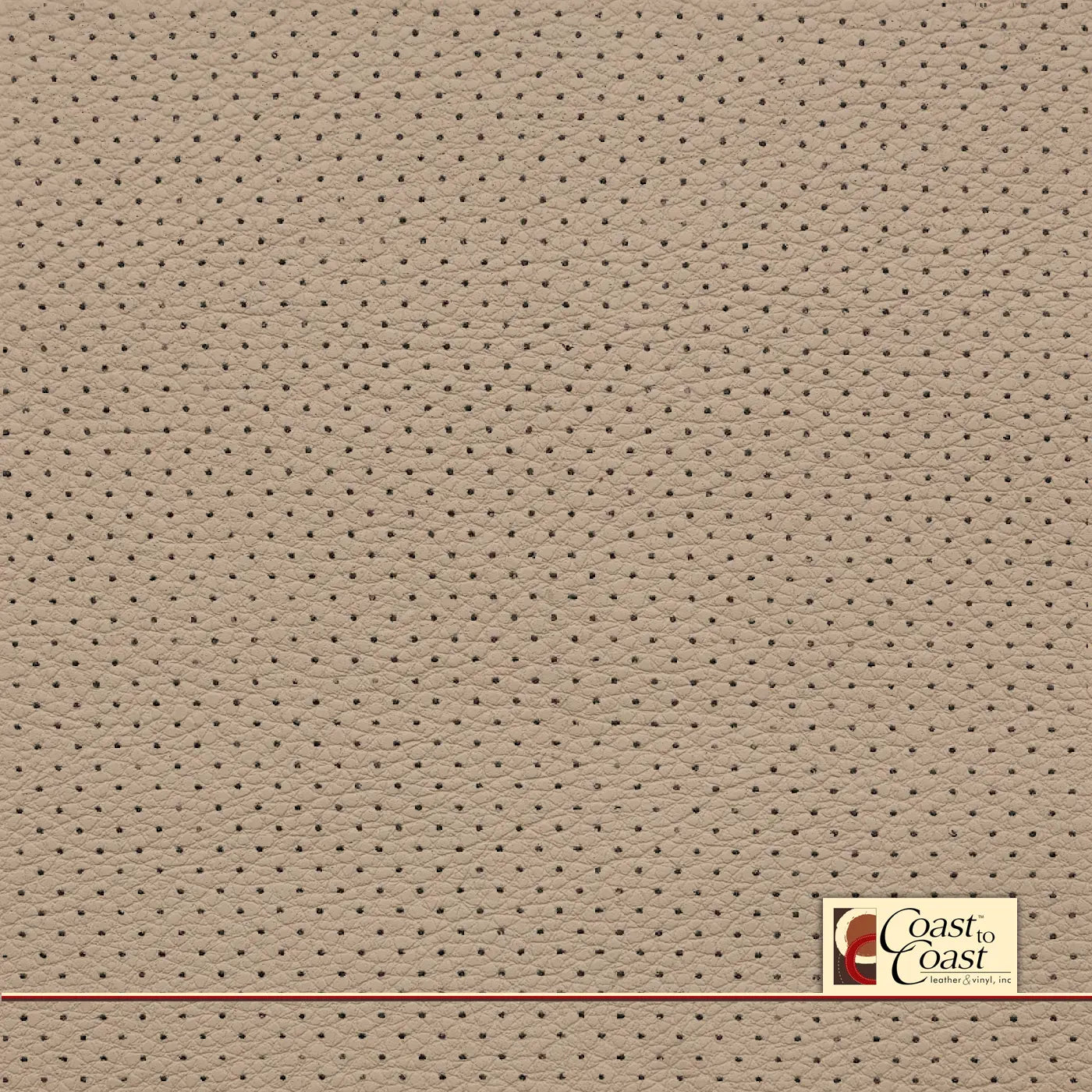 Vw Cornsilk Full Hide / Mini Perf (1/8In) Leather