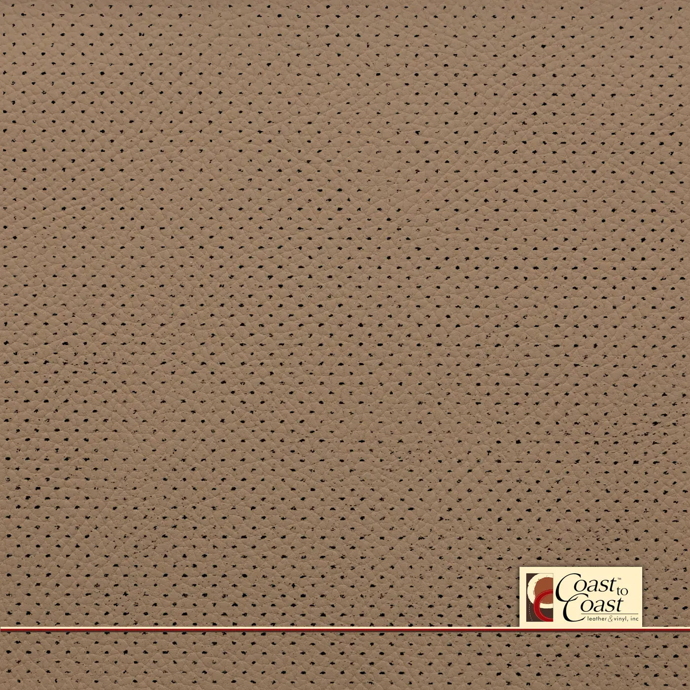 Mercedes Cashmere Full Hide / Gm Mirco Perf (1/16In) Leather