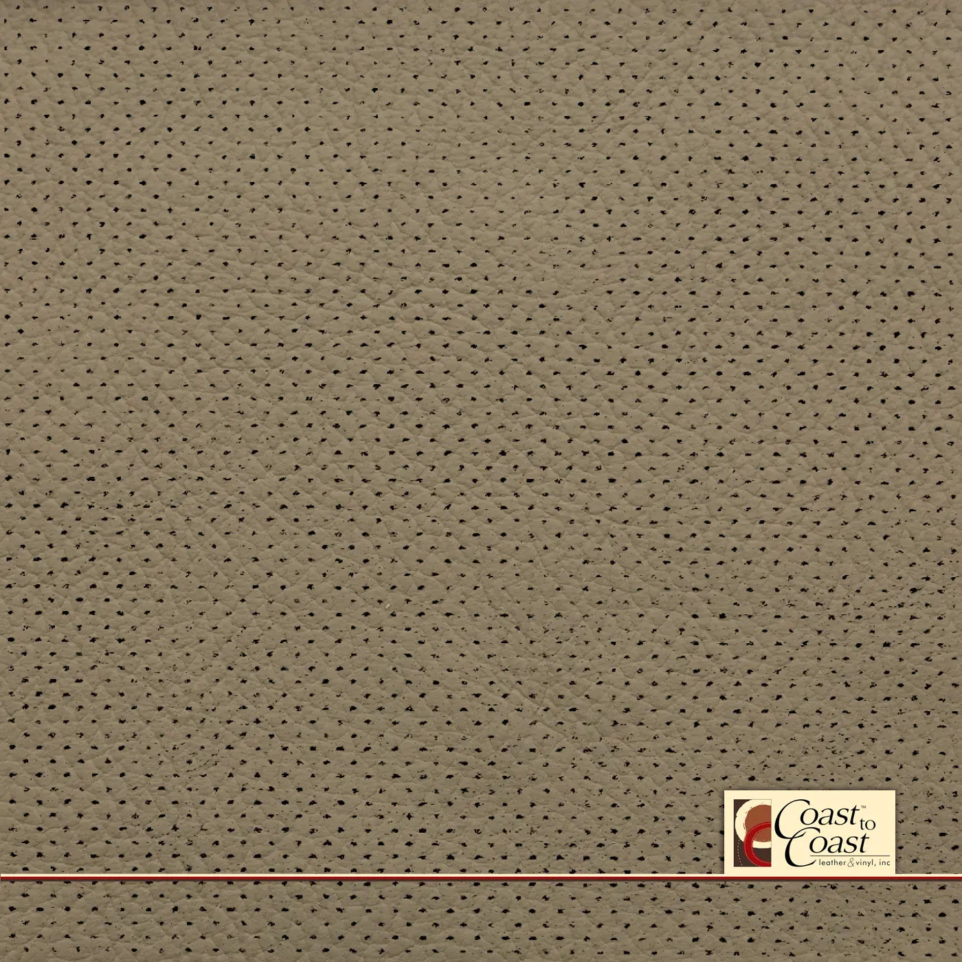 Acura Med Ivory Full Hide / Gm Mirco Perf (1/16In) Leather