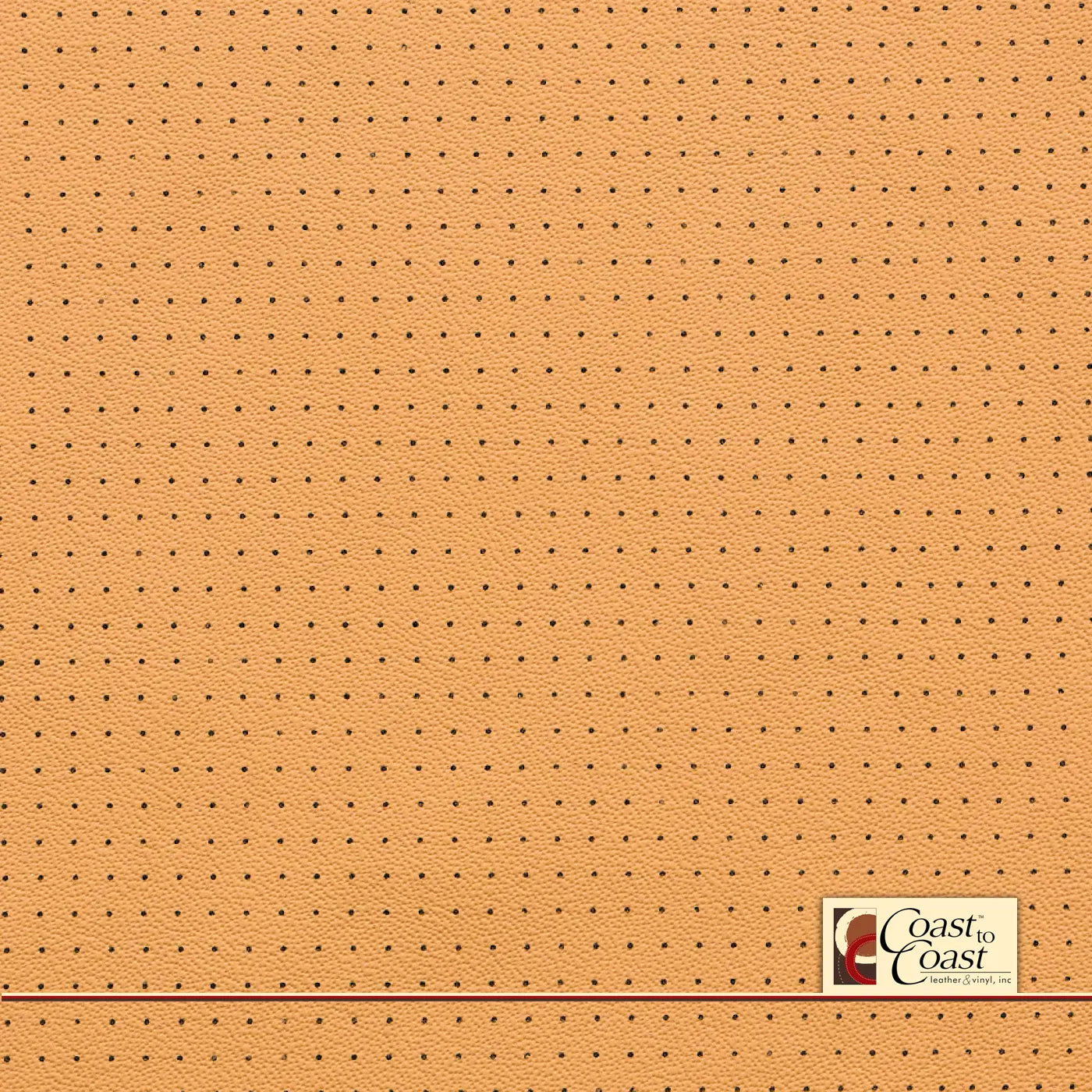 Jaguar Saddle Full Hide / Small Squared Perf (1/4In) Leather