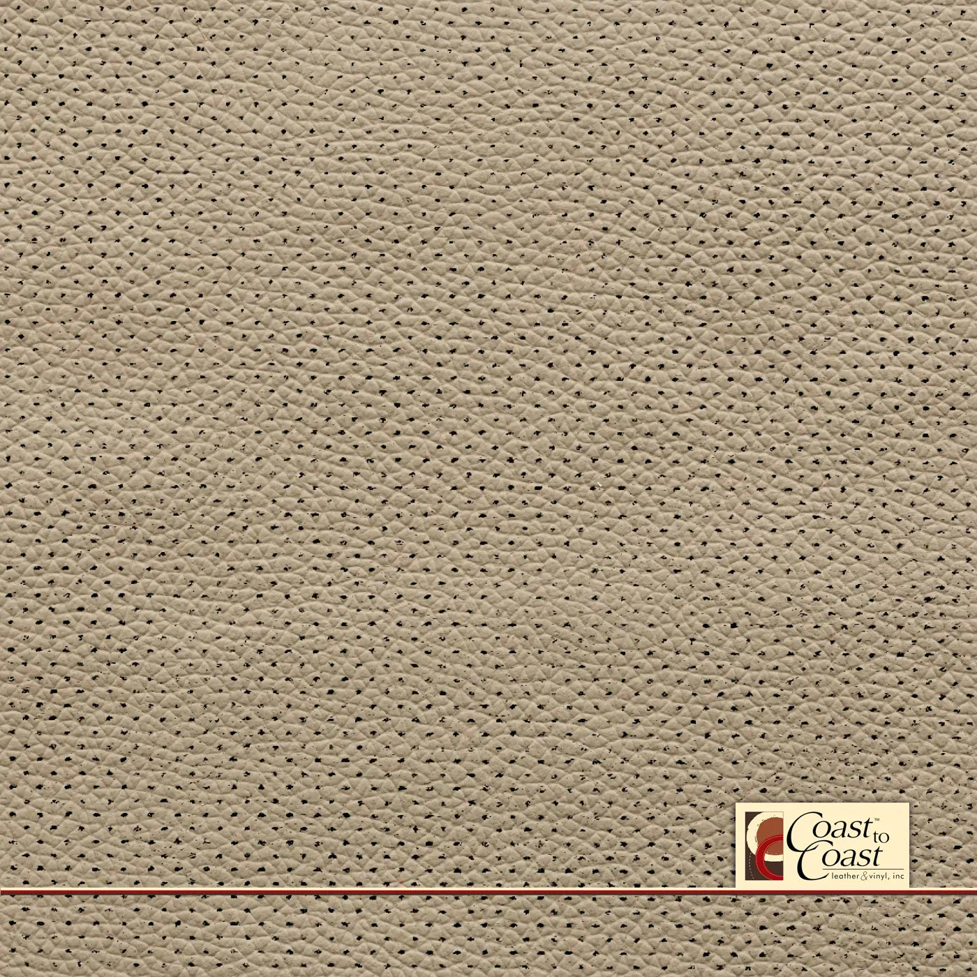 Honda Cashmere Ivory Full Hide / Gm Mirco Perf (1/16In) Leather