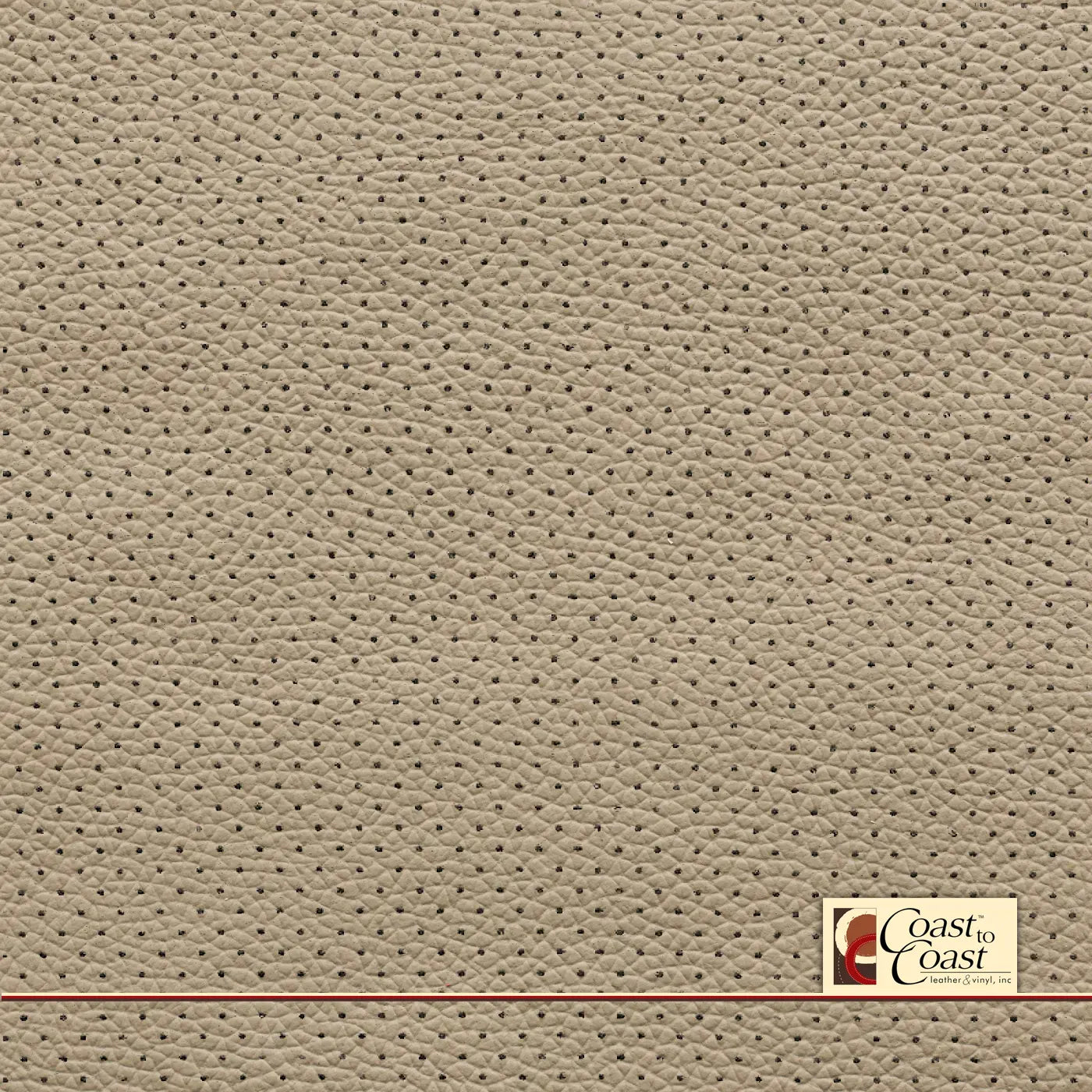 Honda Cashmere Ivory Full Hide / Mini Perf (1/8In) Leather