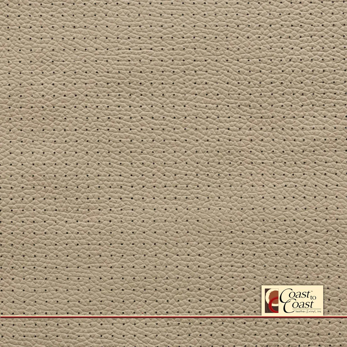 Honda Cashmere Ivory Full Hide / Small Squared Perf (1/4In) Leather