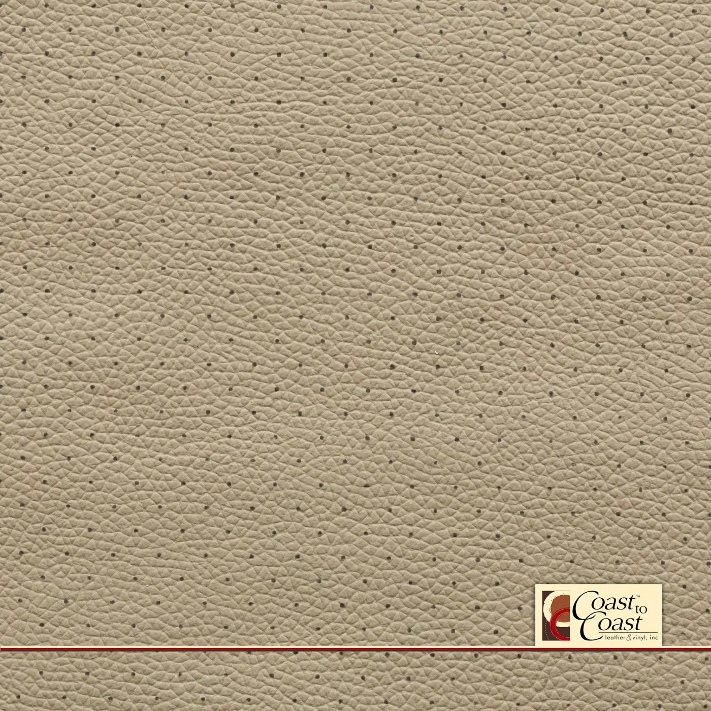 Honda Cashmere Ivory Full Hide / Standard Perf (3/8In) Leather