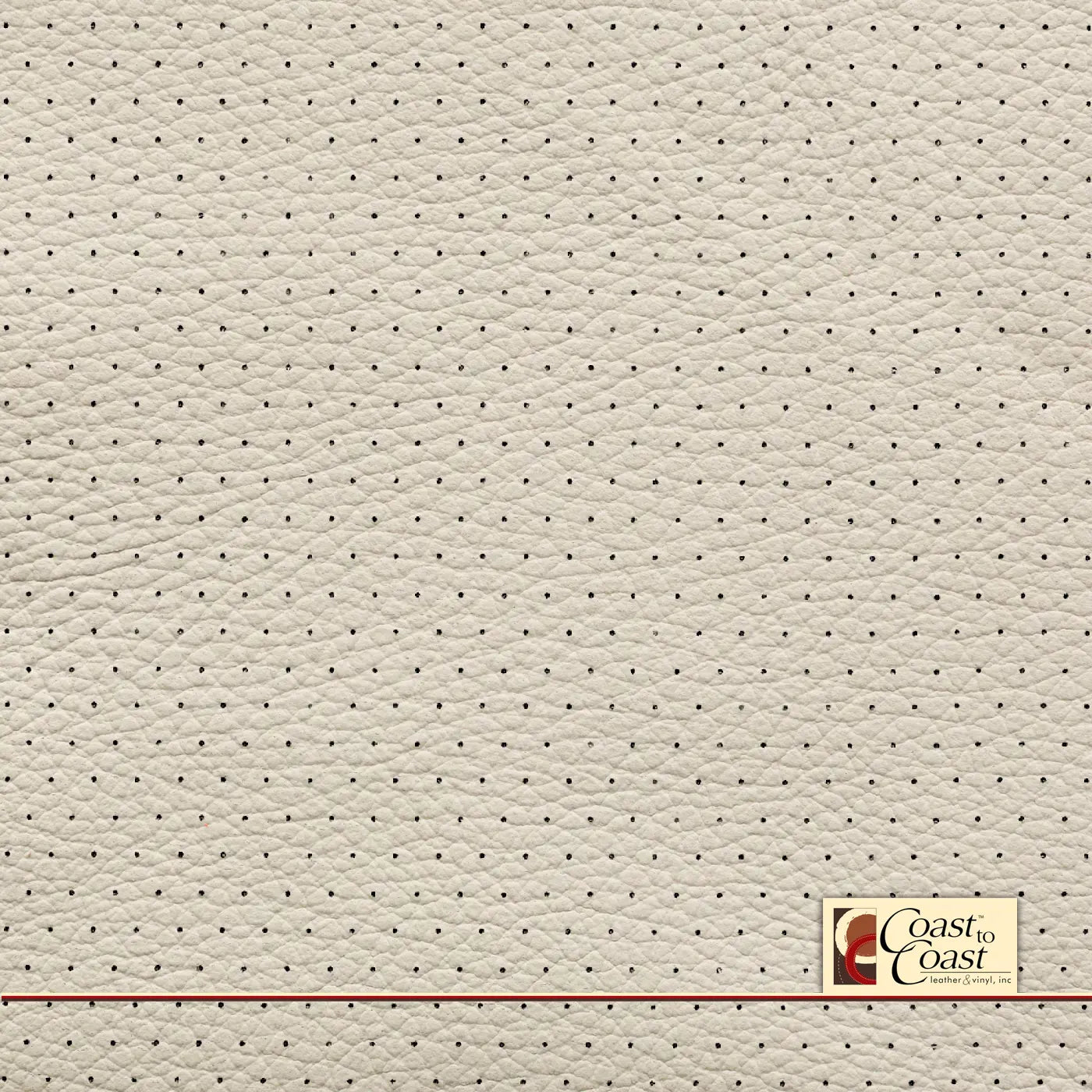 Bmw Ivory White Full Hide / Euro Perf (3/8In) Leather