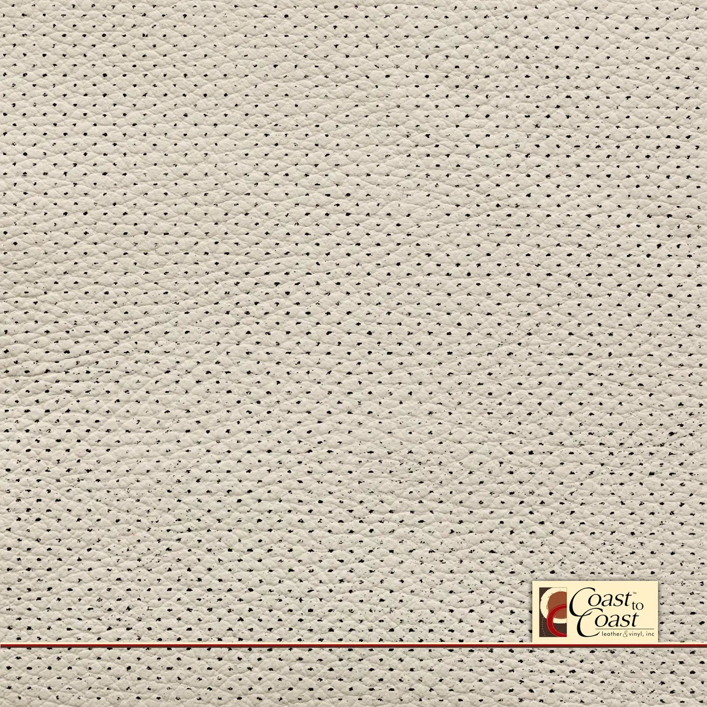 Bmw Ivory White Full Hide / Gm Mirco Perf (1/16In) Leather