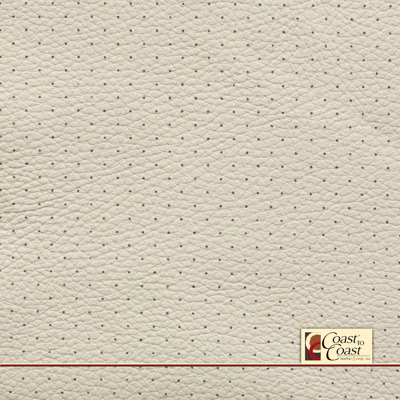 Bmw Ivory White Full Hide / Standard Perf (3/8In) Leather