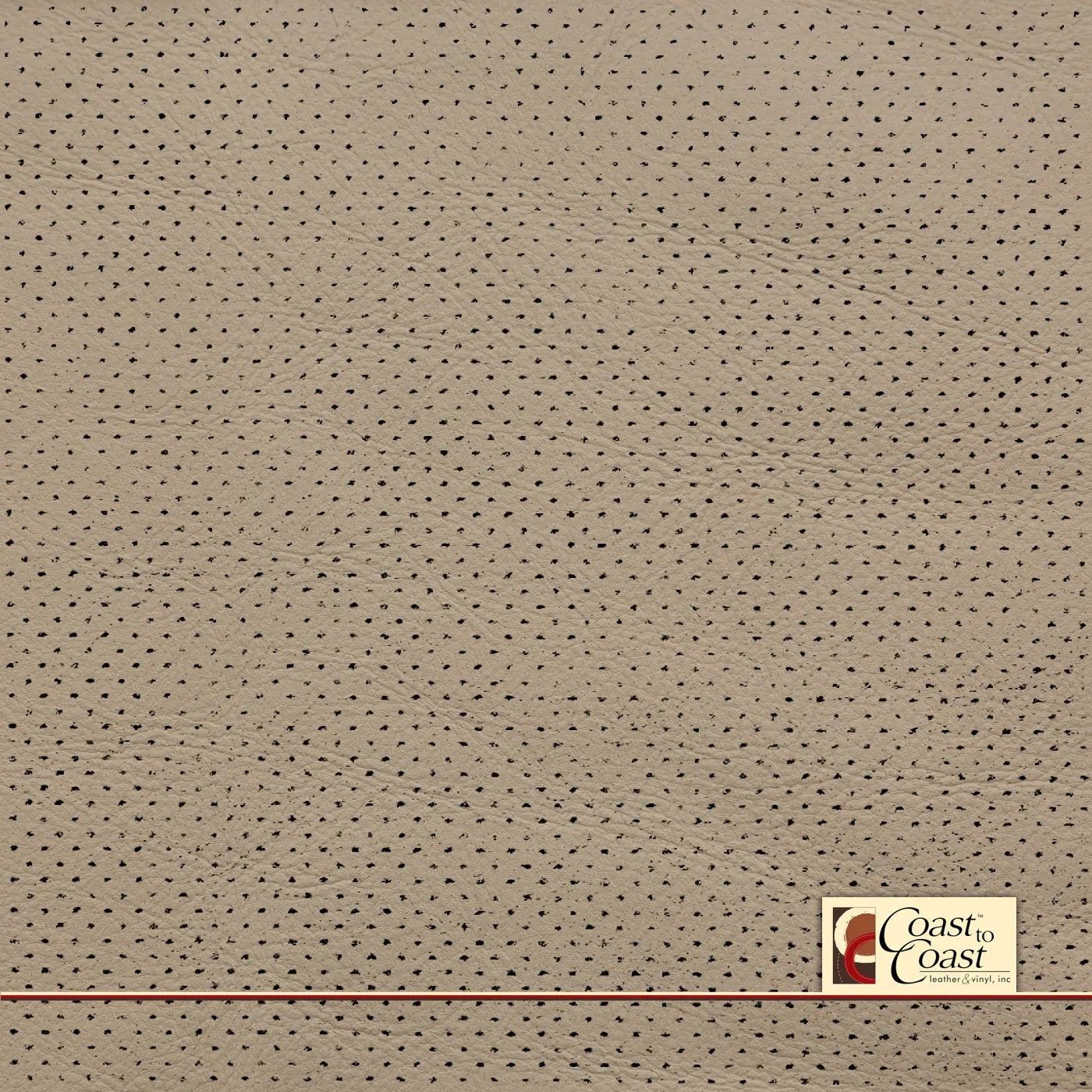 Jaguar Ivory Full Hide / Gm Mirco Perf (1/16In) Leather