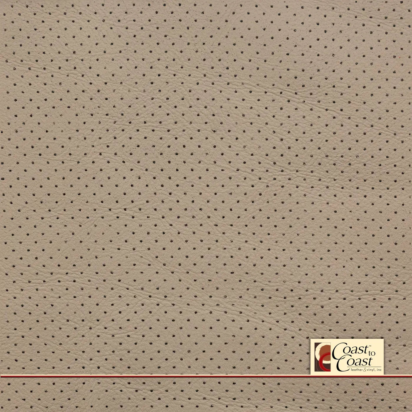 Jaguar Ivory Full Hide / Mini Perf (1/8In) Leather