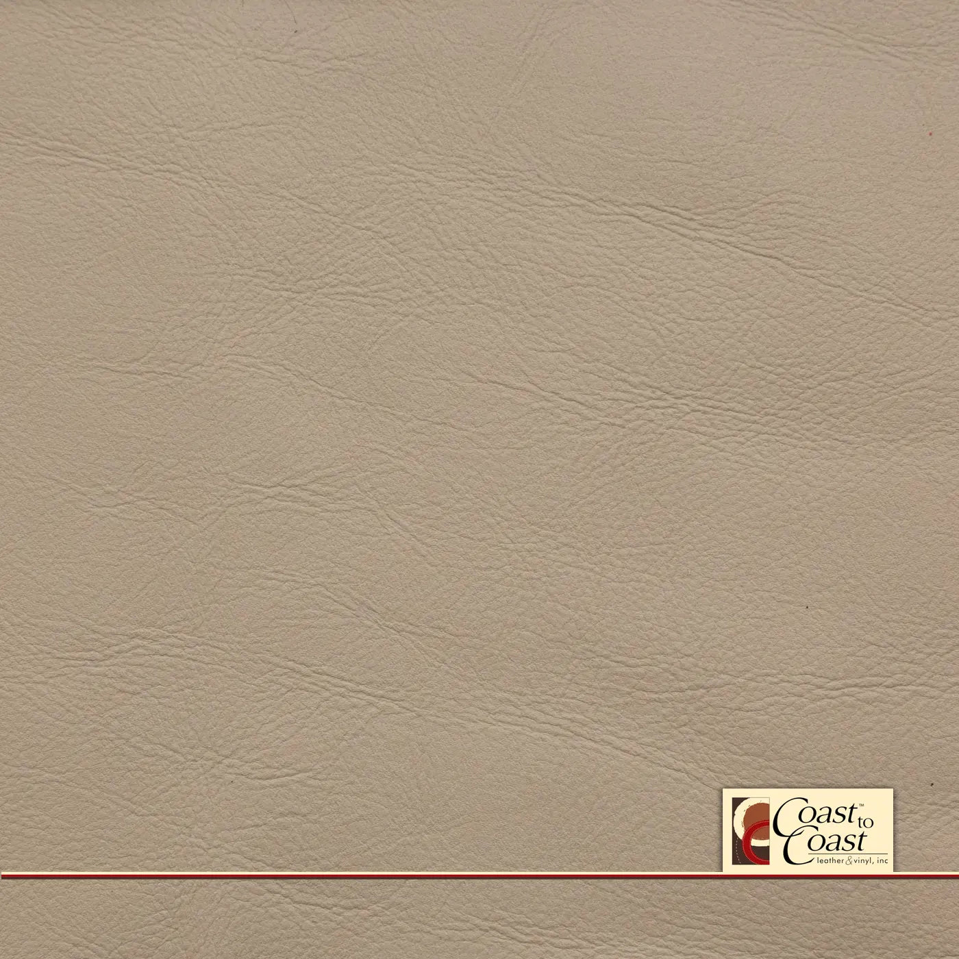 Jaguar Ivory Full Hide / Plain Leather