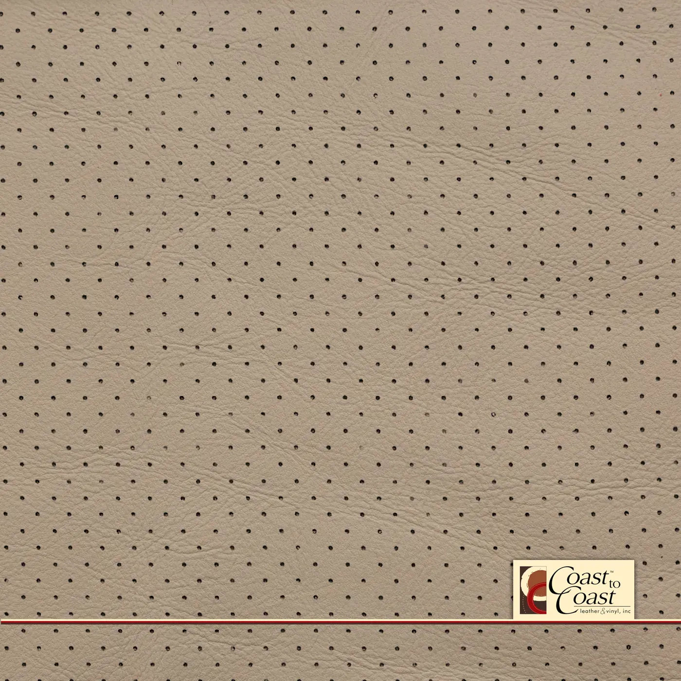 Jaguar Ivory Full Hide / Small Hampton (1/4In) Leather