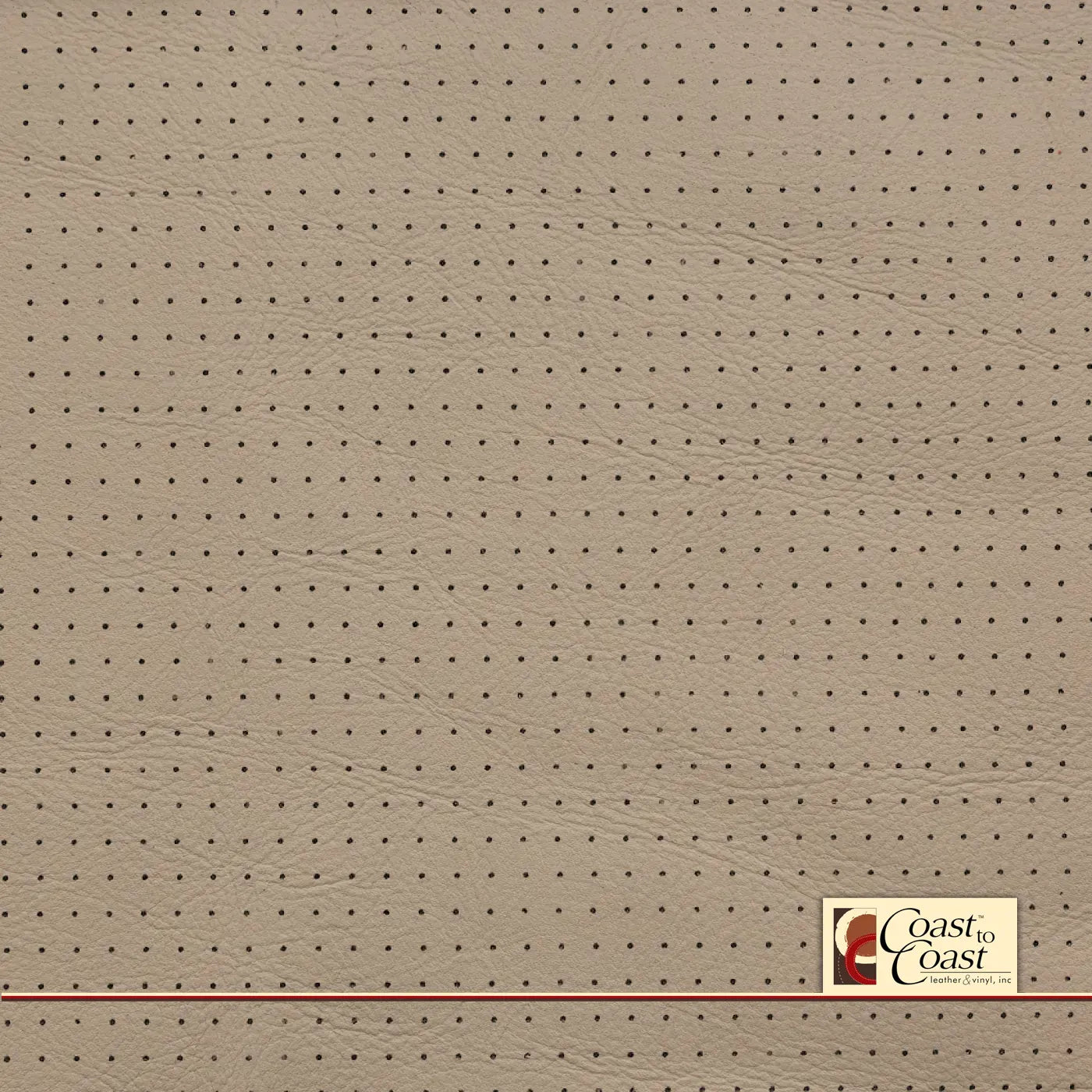 Jaguar Ivory Full Hide / Small Squared Perf (1/4In) Leather