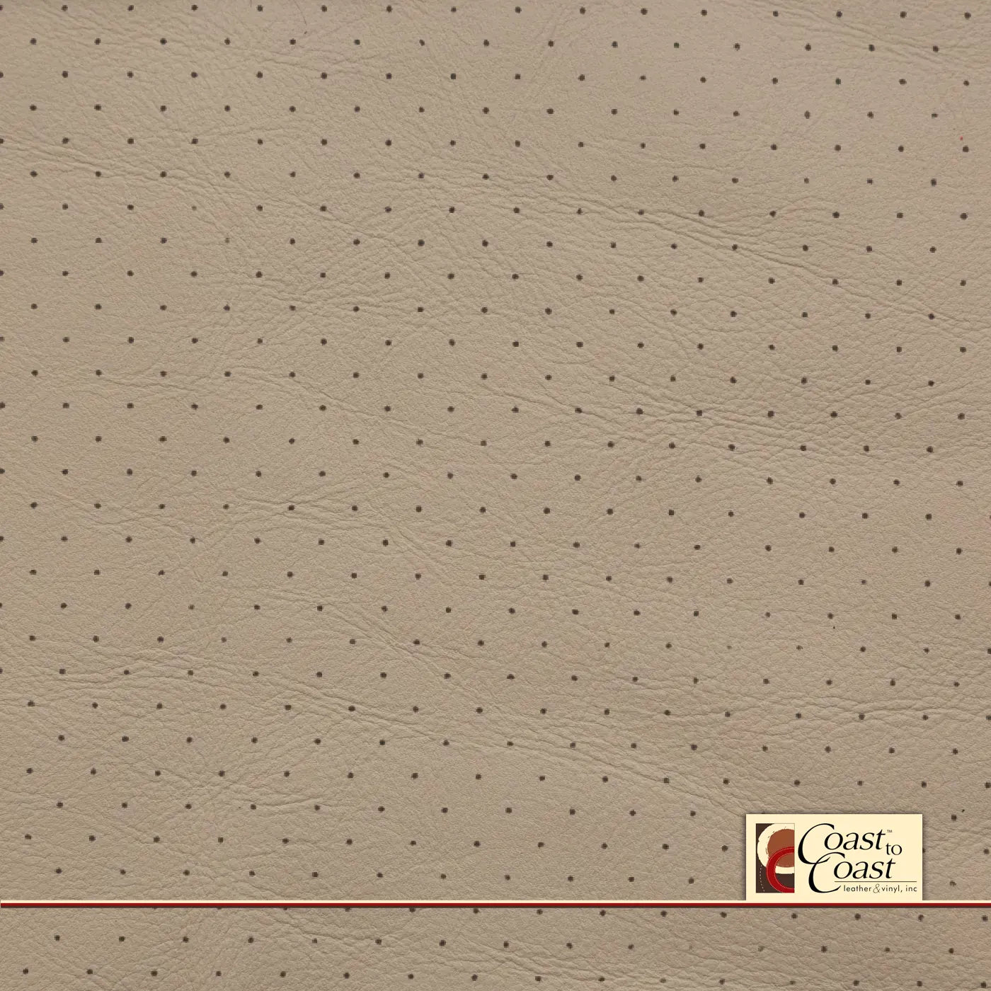 Jaguar Ivory Full Hide / Standard Perf (3/8In) Leather