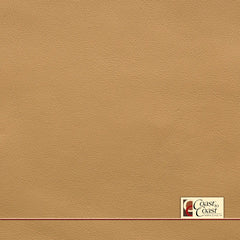 Bentley Camel