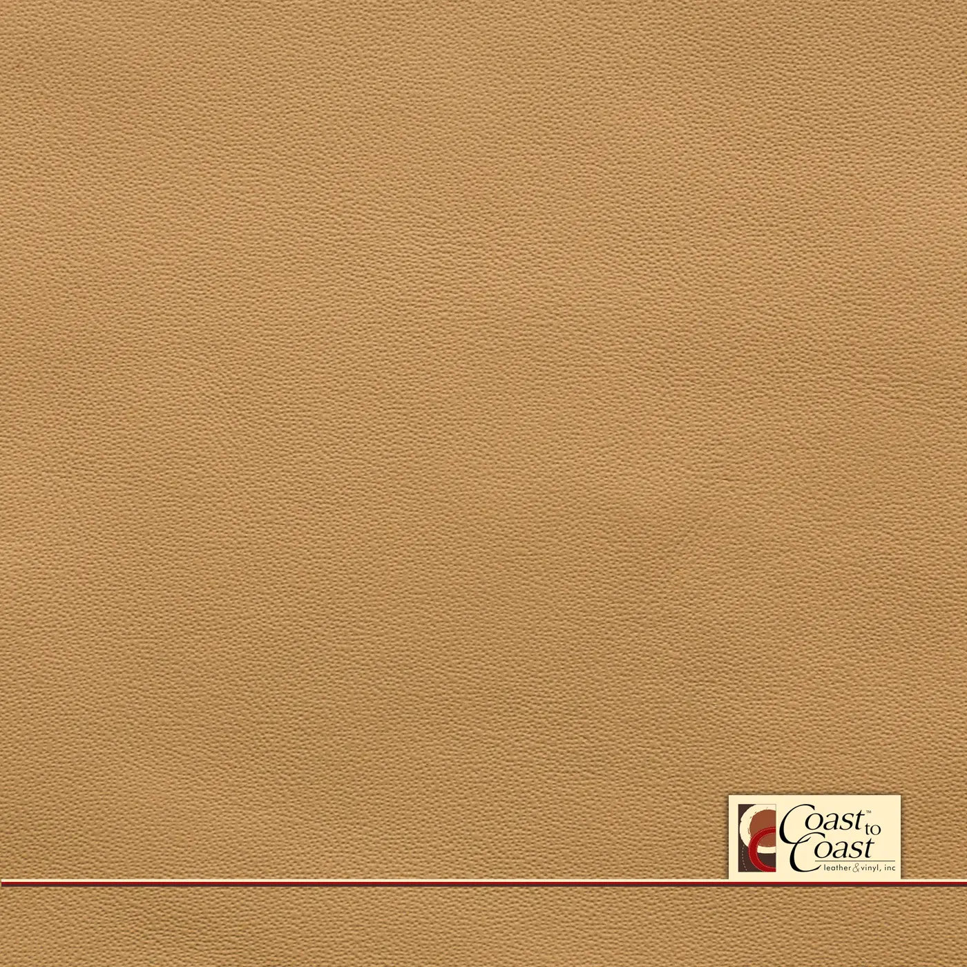 Bentley Camel