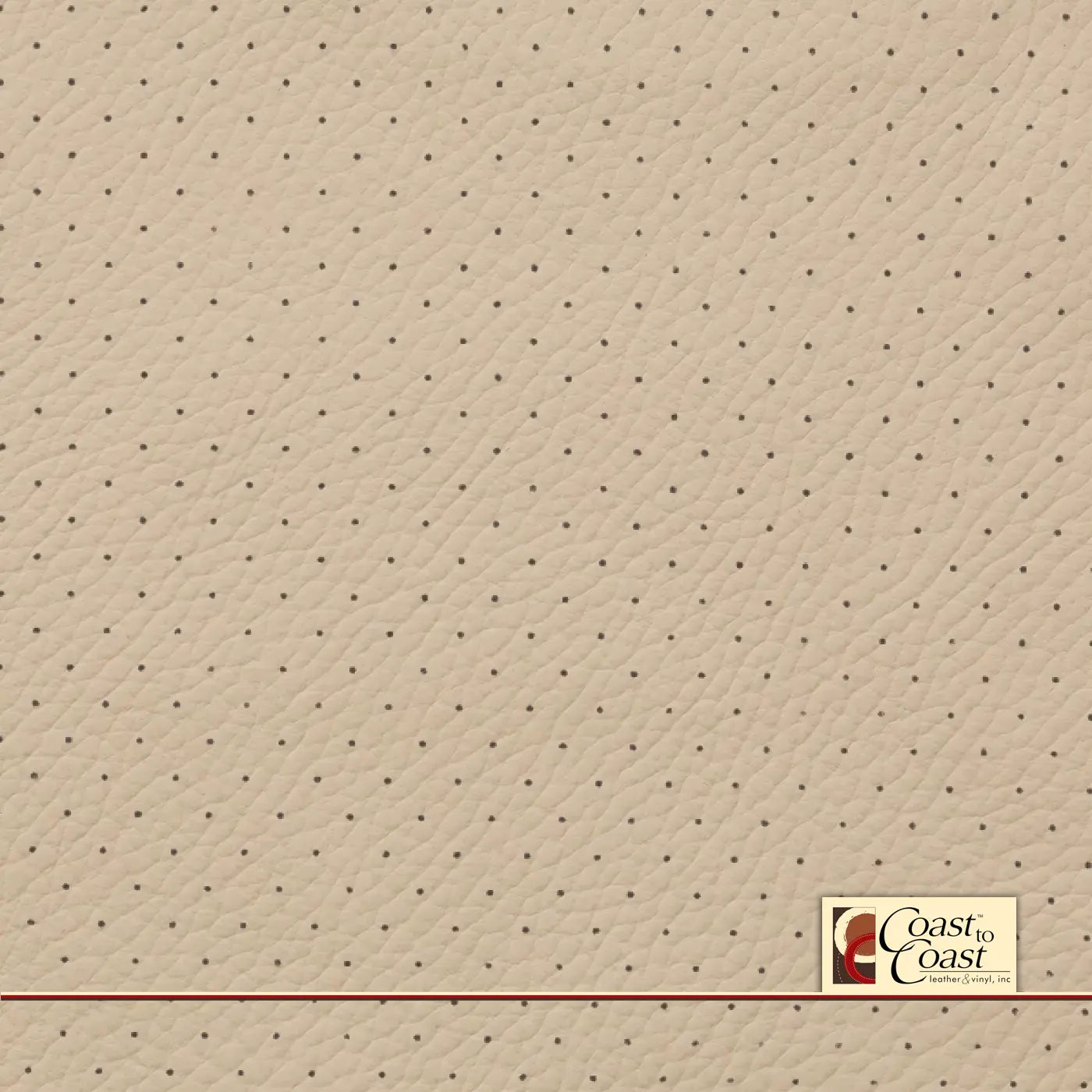 Bmw Sahne White Full Hide / Standard Perf (3/8In) Leather