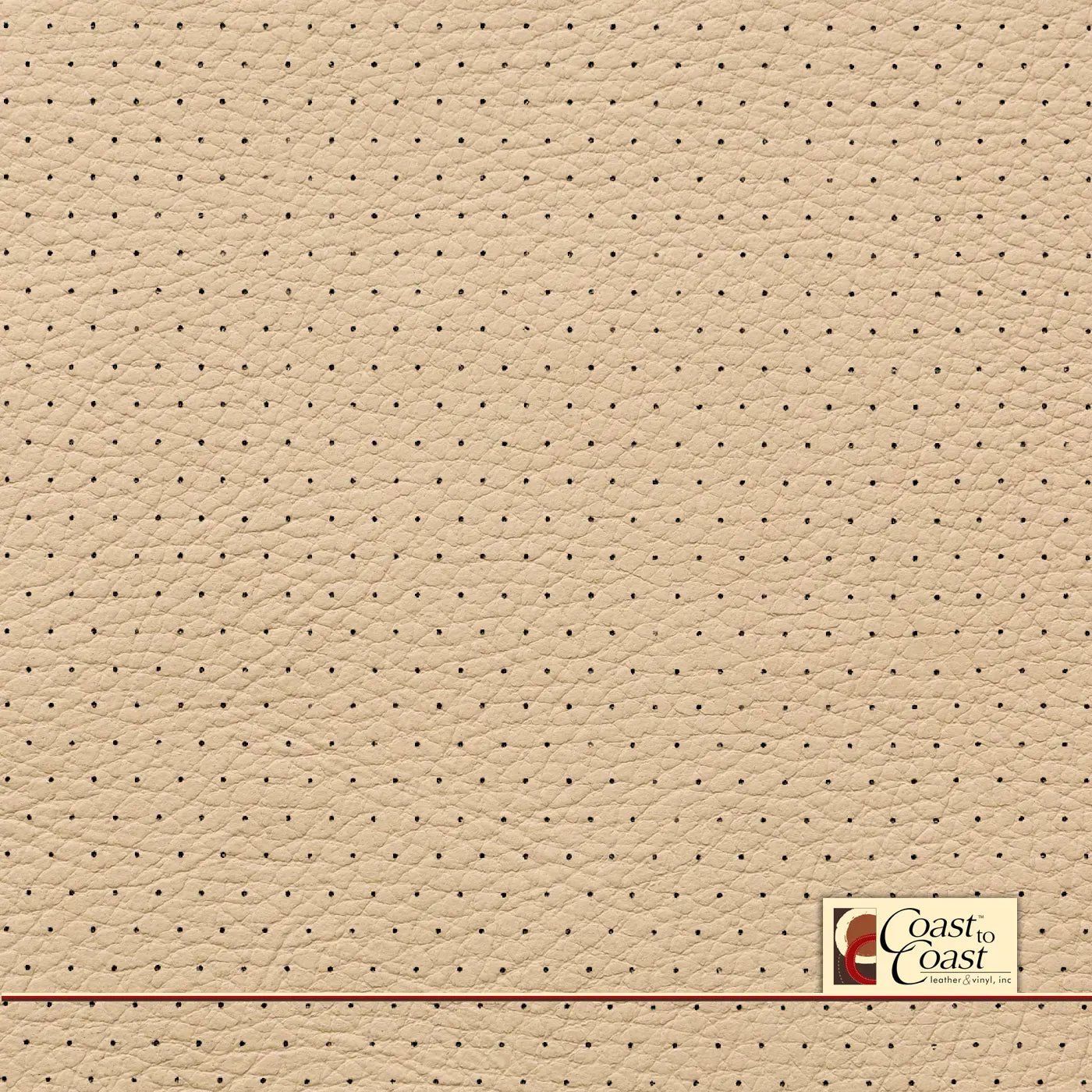 Bmw Veneto Beige Full Hide / Euro Perf (3/8In) Leather