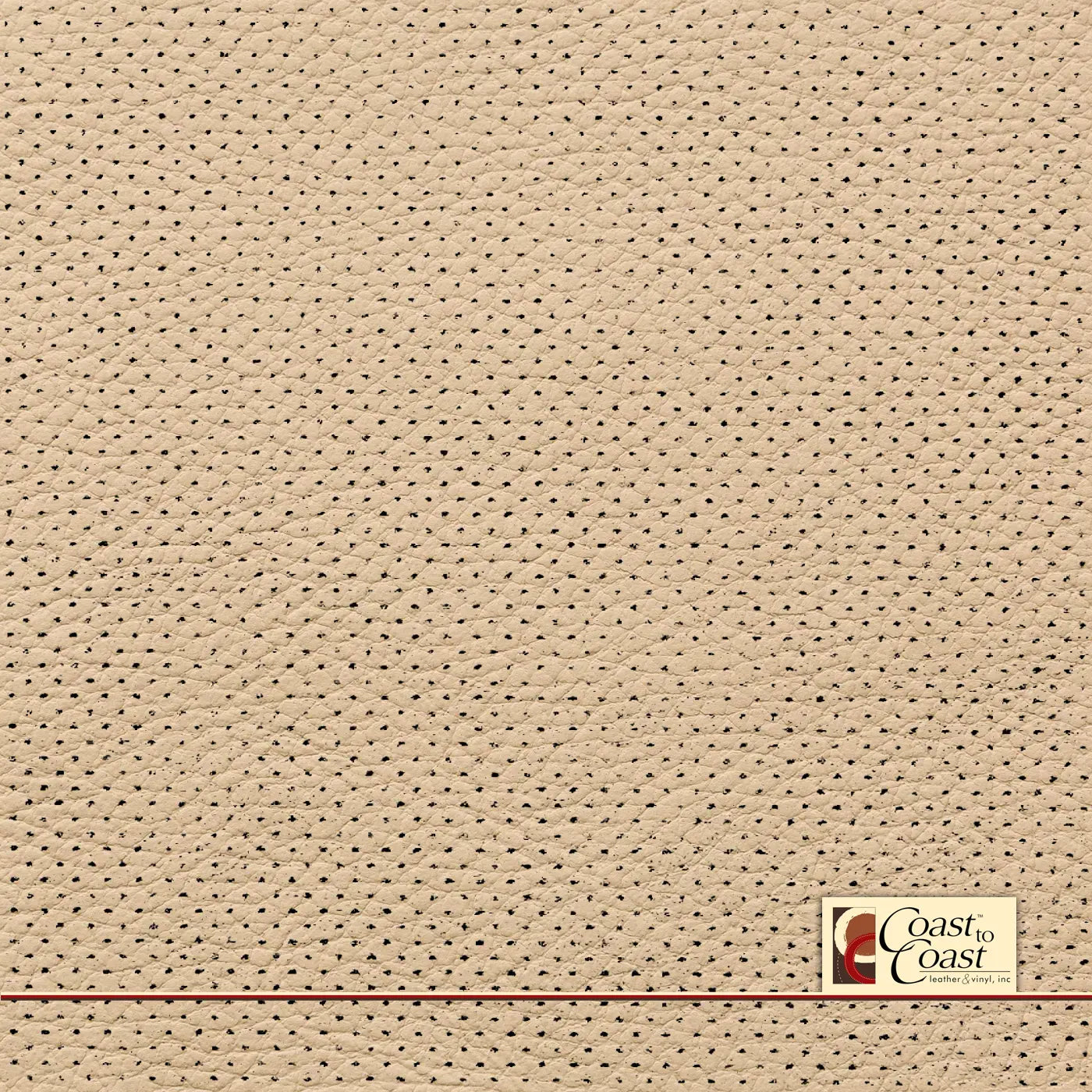 Bmw Veneto Beige Full Hide / Gm Mirco Perf (1/16In) Leather