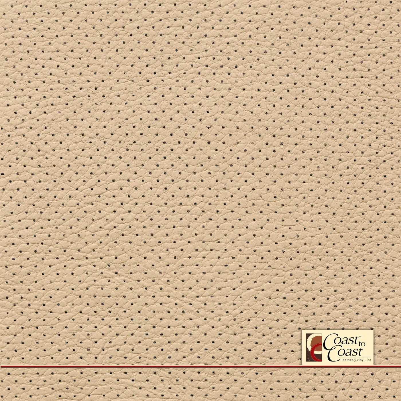 Bmw Veneto Beige Full Hide / Mini Perf (1/8In) Leather