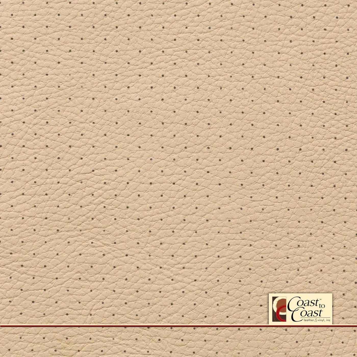 Bmw Veneto Beige Full Hide / Standard Perf (3/8In) Leather