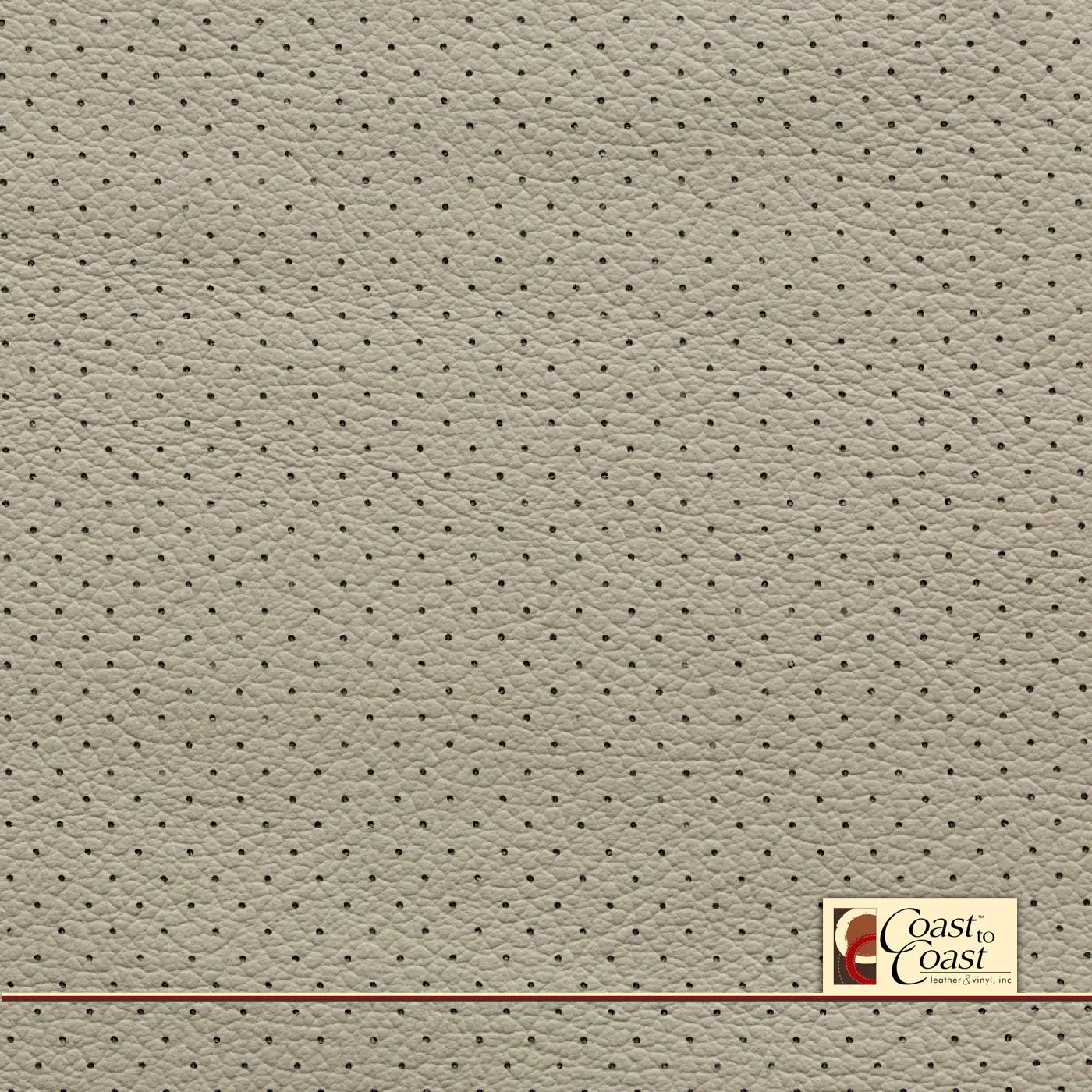 Honda Platinum Full Hide / Small Hampton (1/4In) Leather