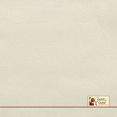 Nissan Gallery White